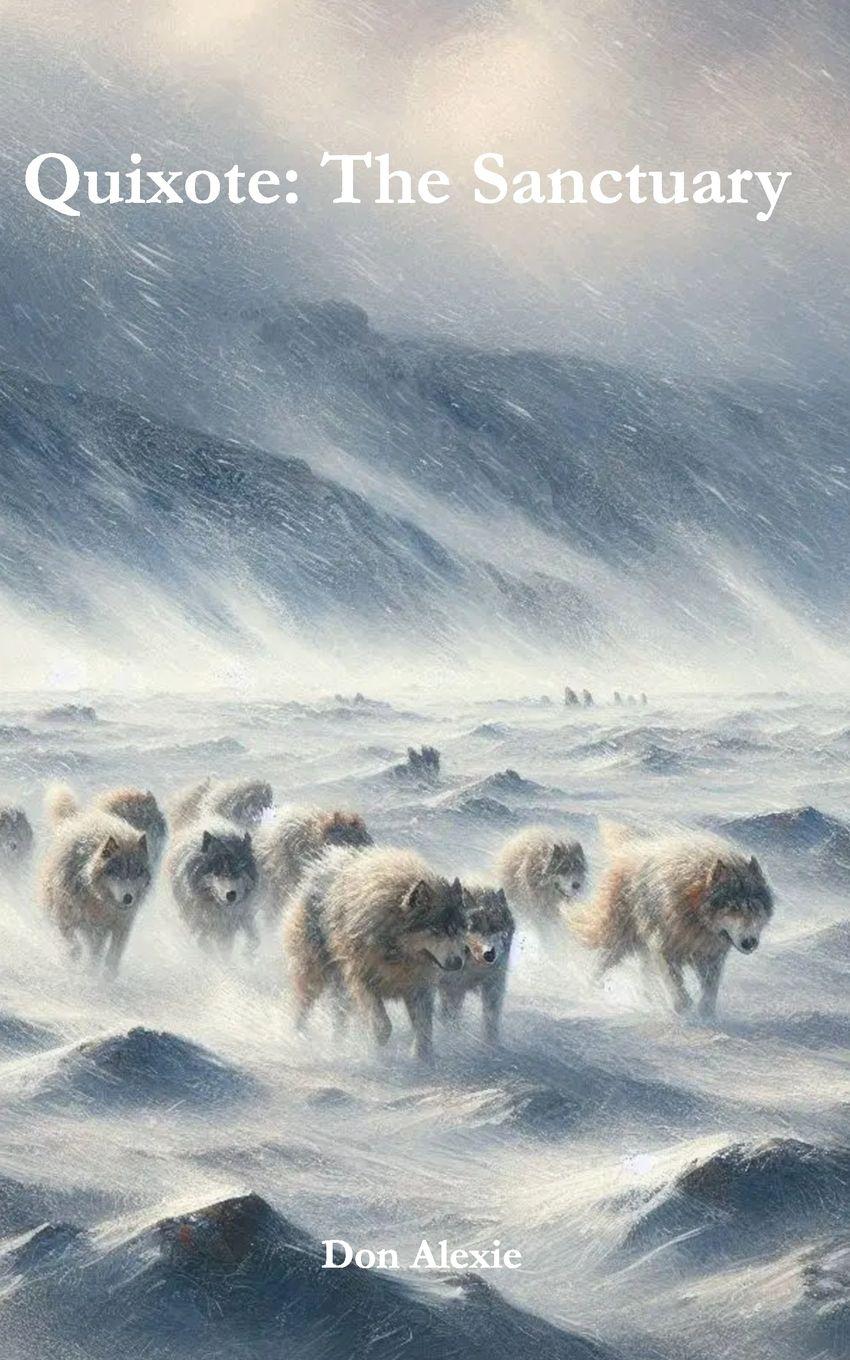 Vorderes Coverbild Quixote