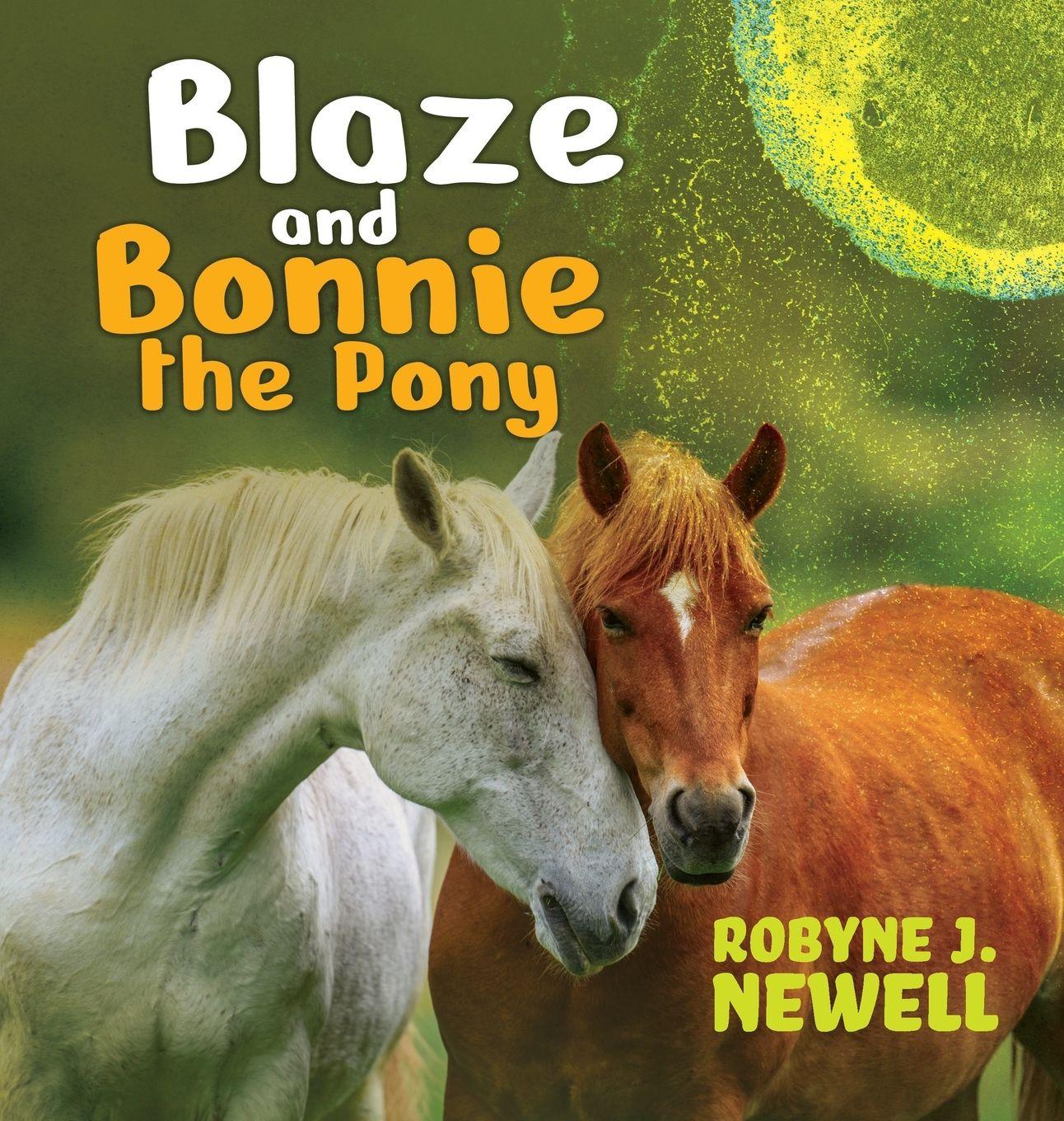 Vorderes Coverbild Blaze & Bonnie the Pony