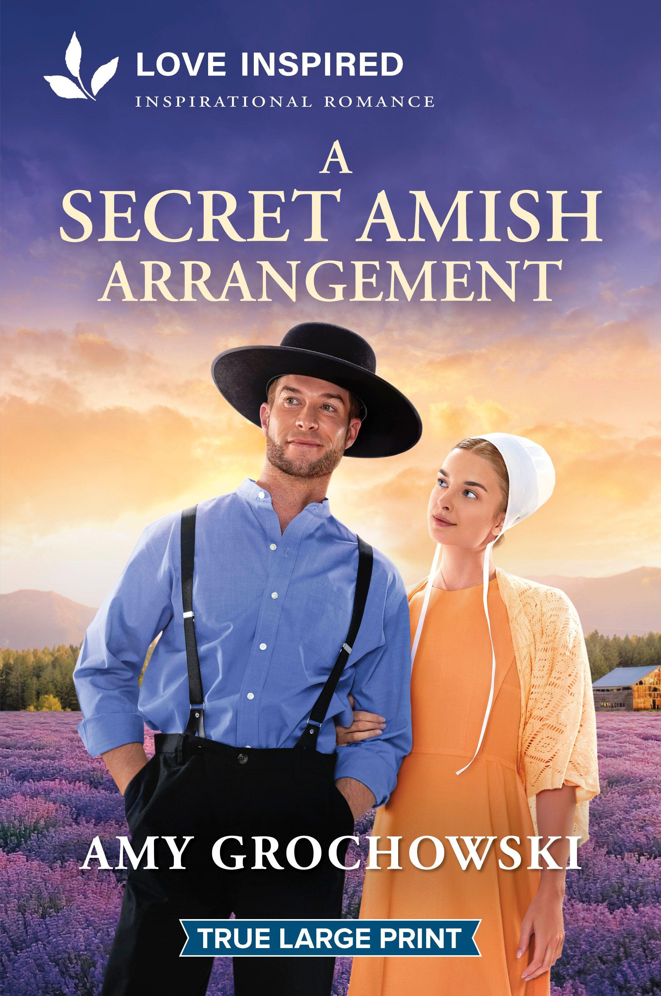 Vorderes Coverbild A Secret Amish Arrangement