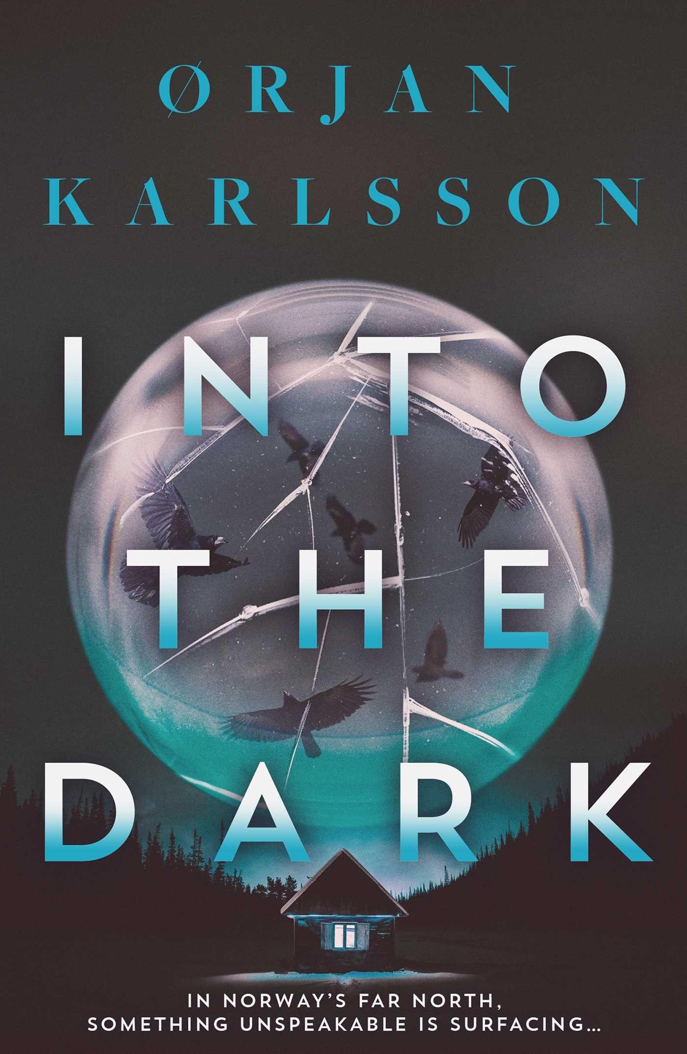 Vorderes Coverbild Into The Dark