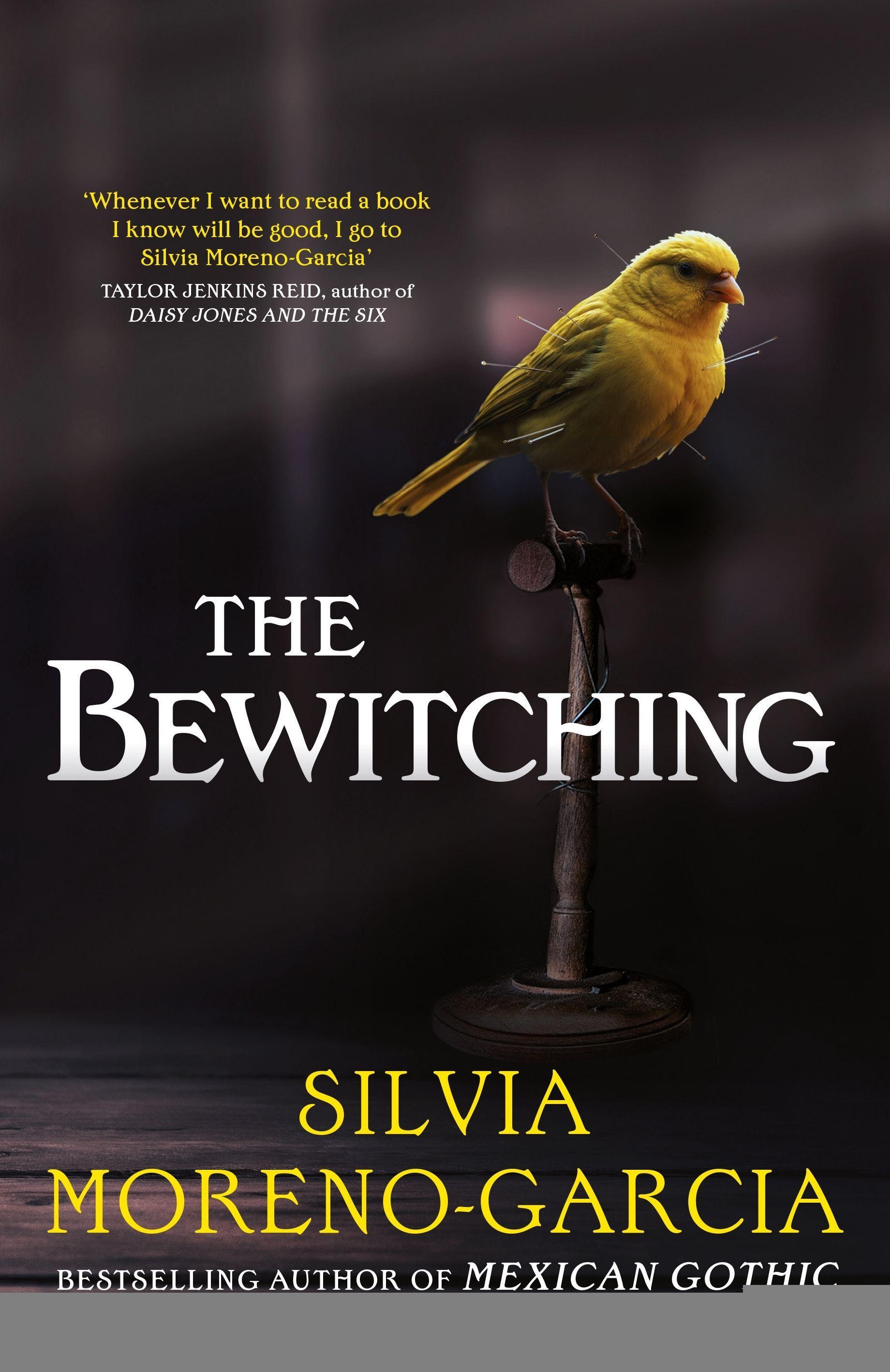 Vorderes Coverbild The Bewitching