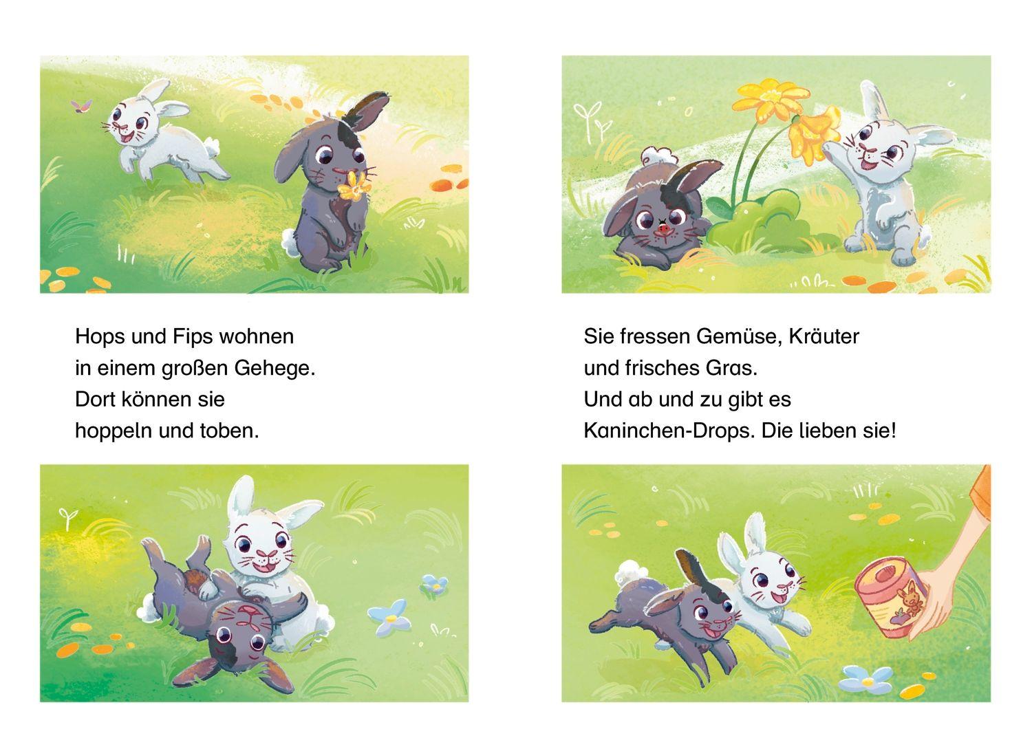 Beispielinhalt (Bild) Mein supersüßes Haustier. Hops und Fips reißen aus