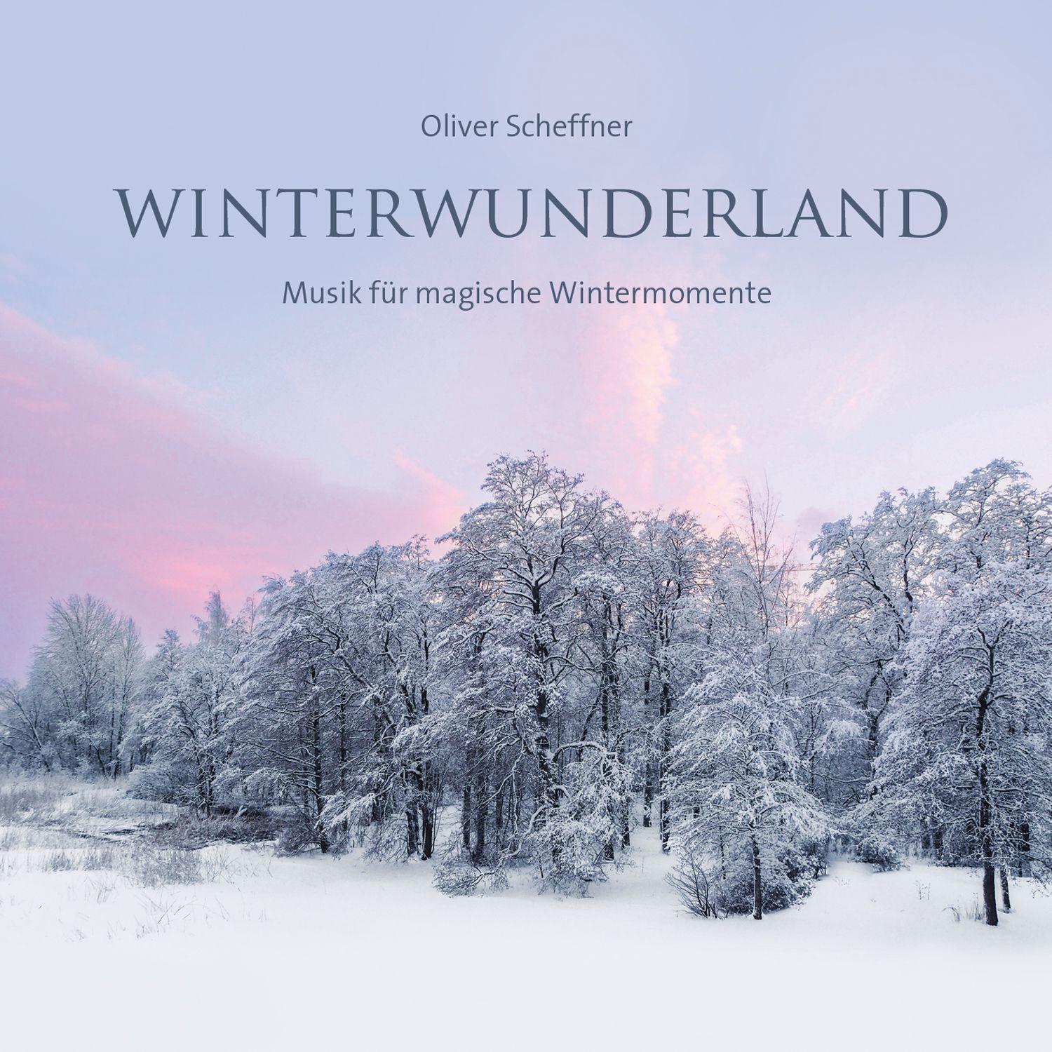 Vorderes Coverbild Winterwunderland