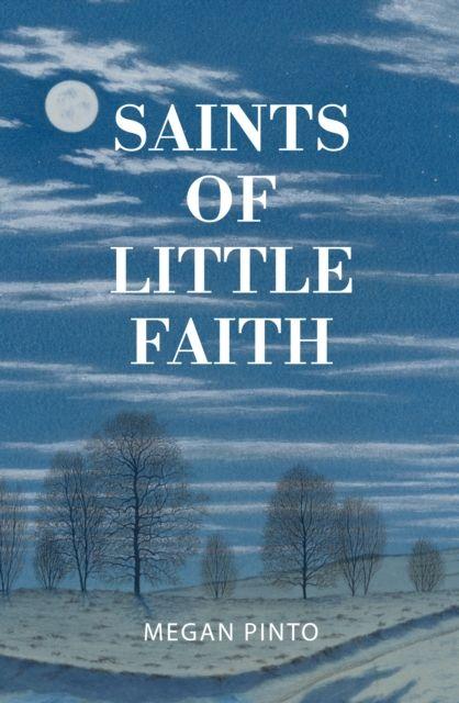 Vorderes Coverbild Saints of Little Faith