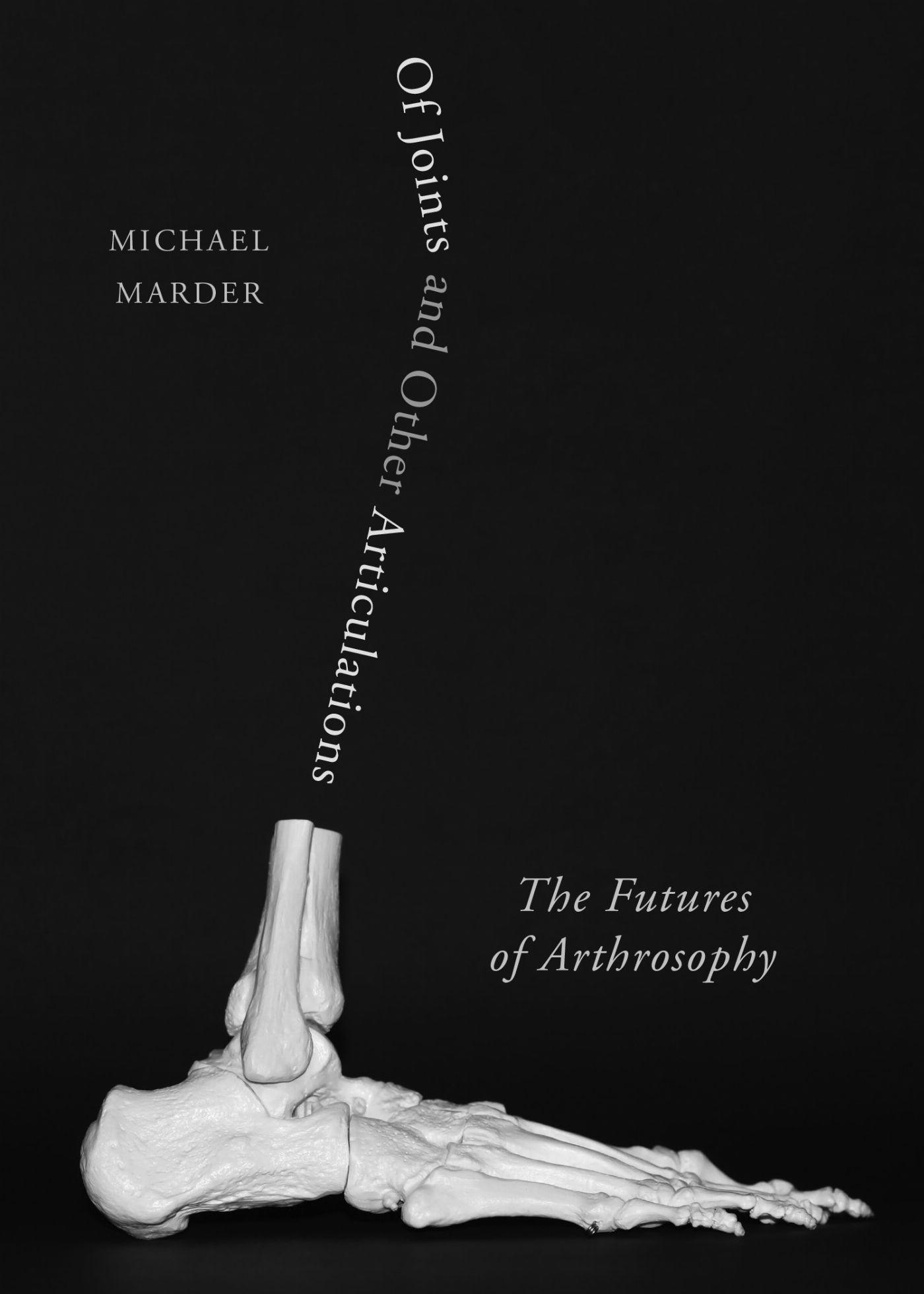 Vorderes Coverbild Of Joints and Other Articulations