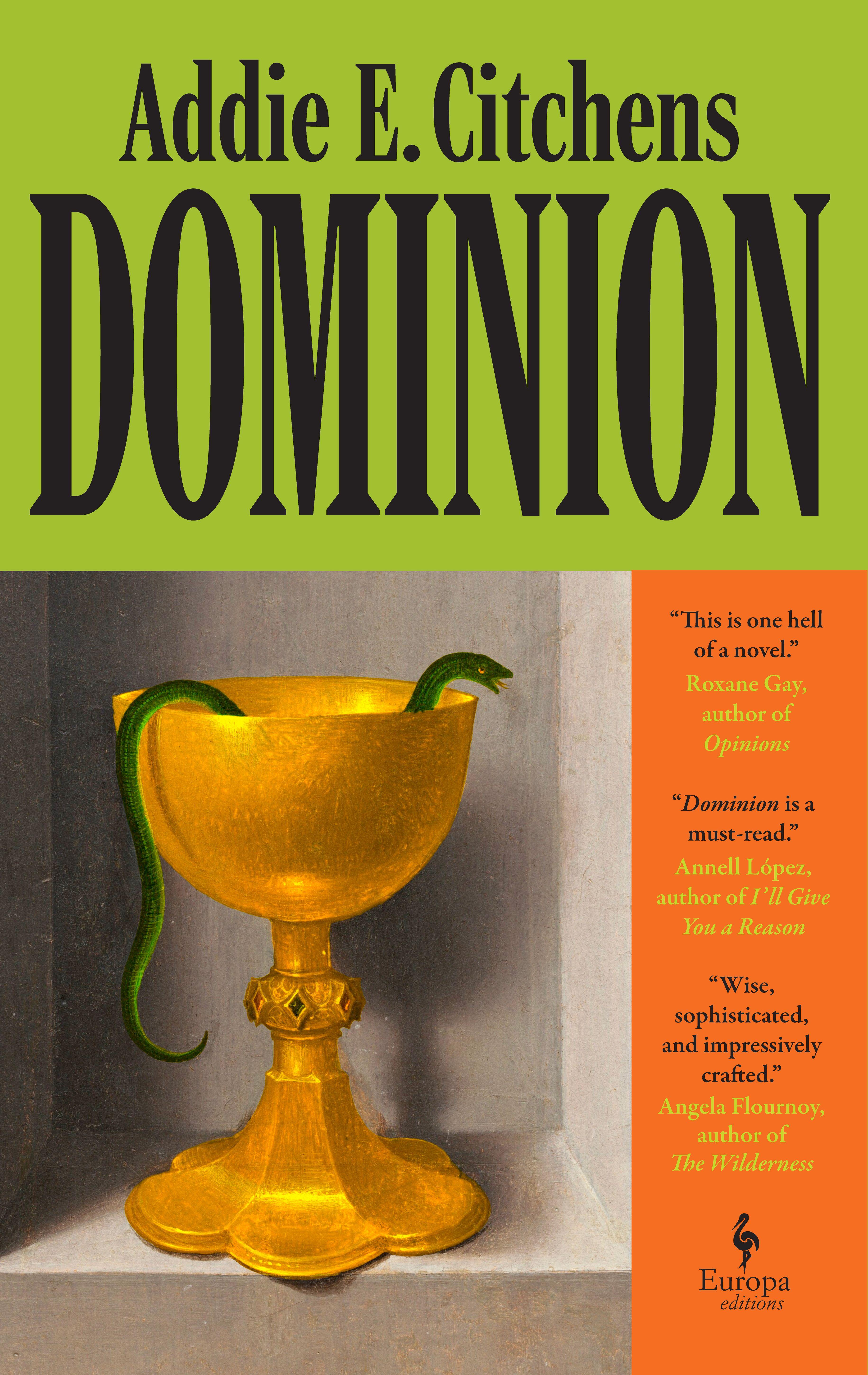 Vorderes Coverbild Dominion