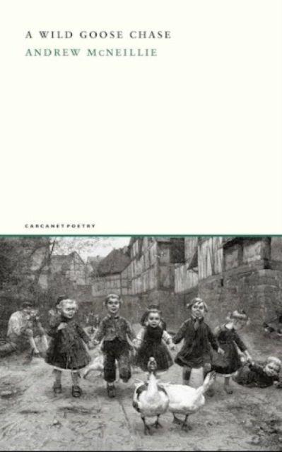 Vorderes Coverbild A Wild Goose Chase