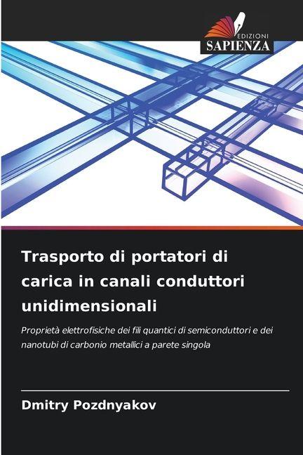 Vorderes Coverbild Trasporto di portatori di carica in canali conduttori unidimensionali