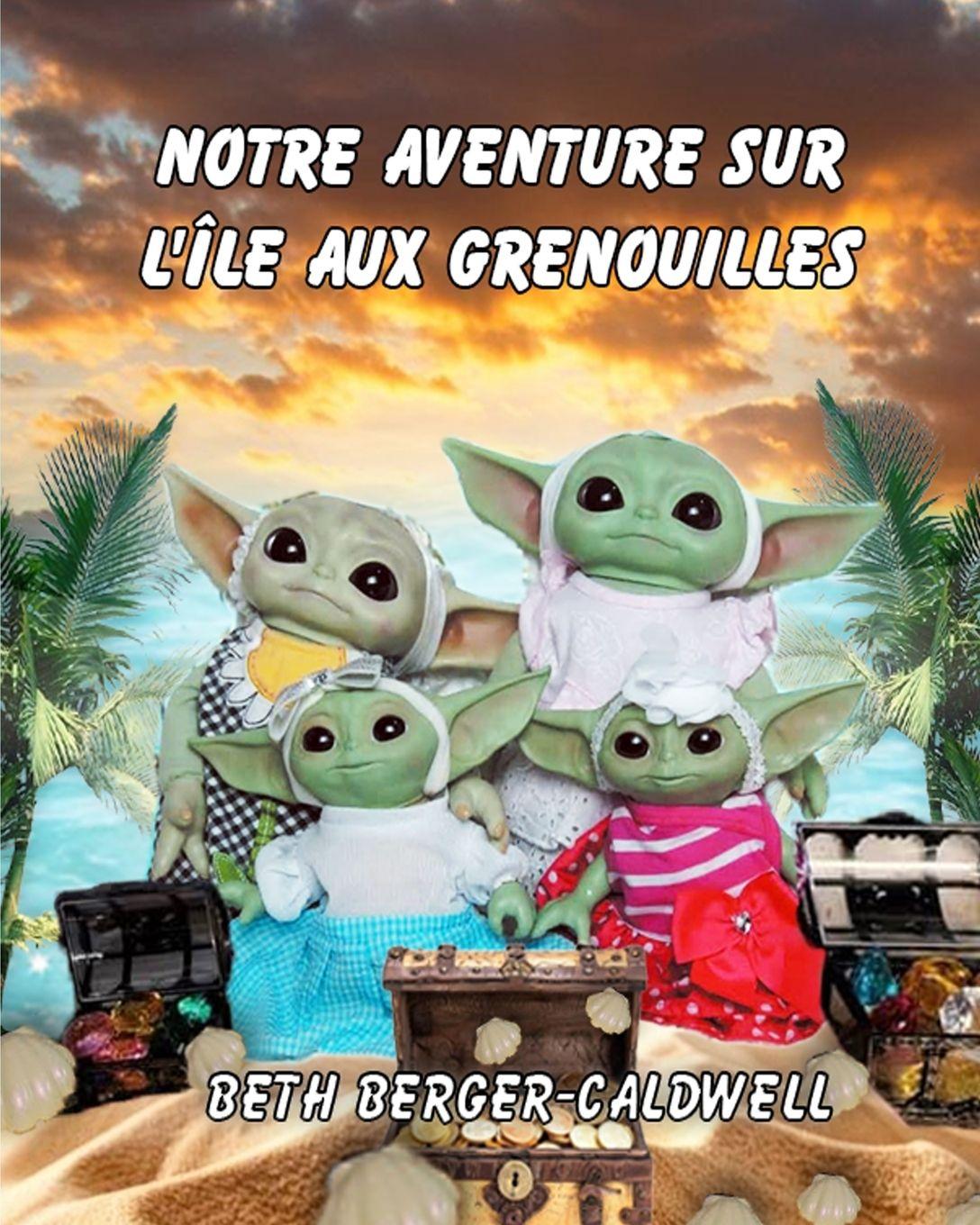 Vorderes Coverbild Notre Aventure Sur l'Île Aux Grenouilles