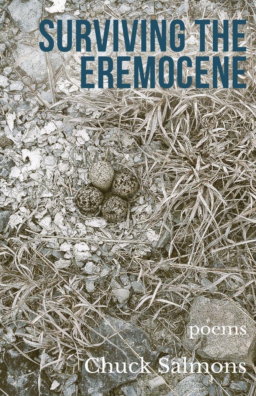 Vorderes Coverbild Surviving the Eremocene