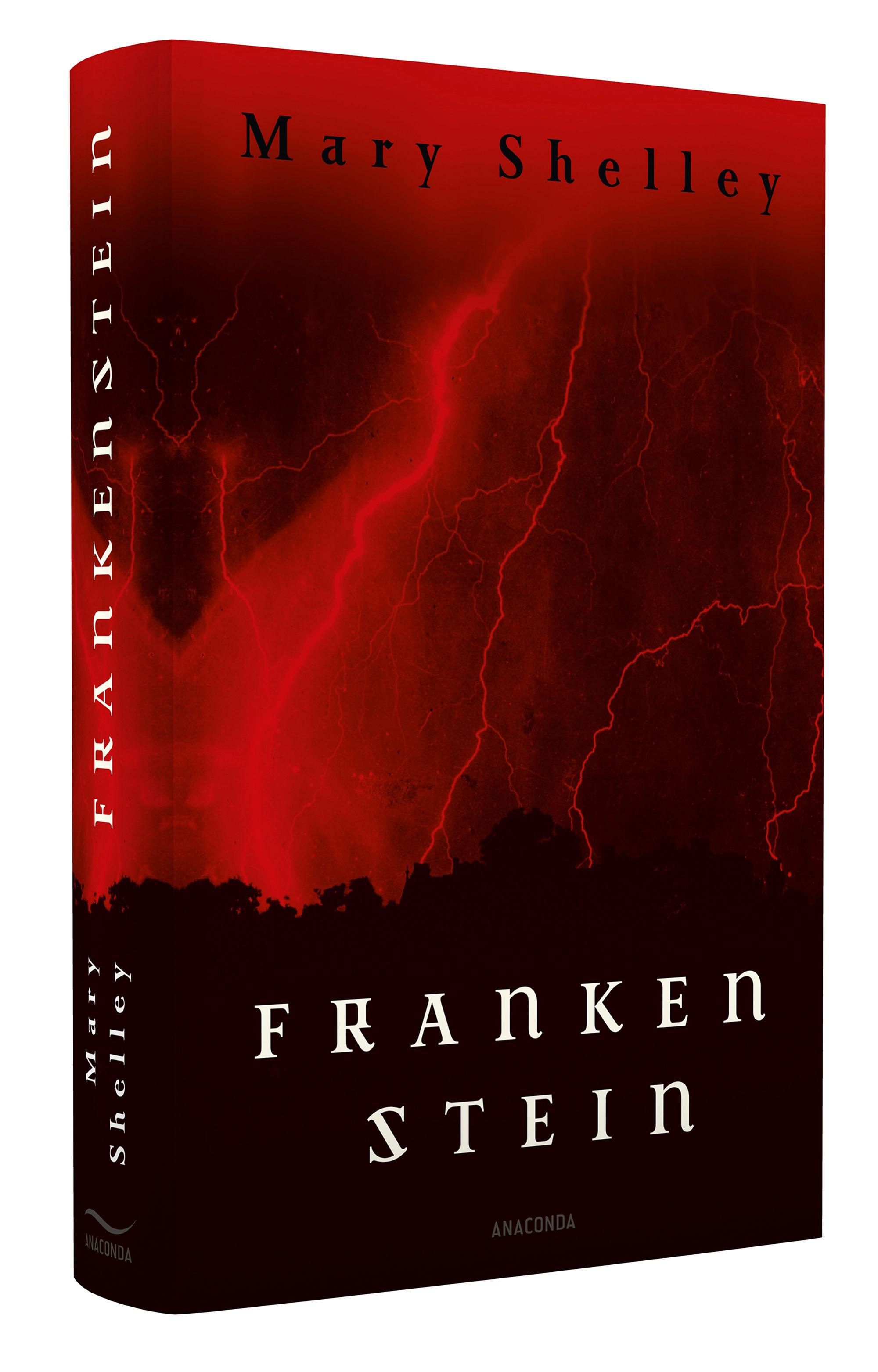 Beispielinhalt (Bild) Frankenstein