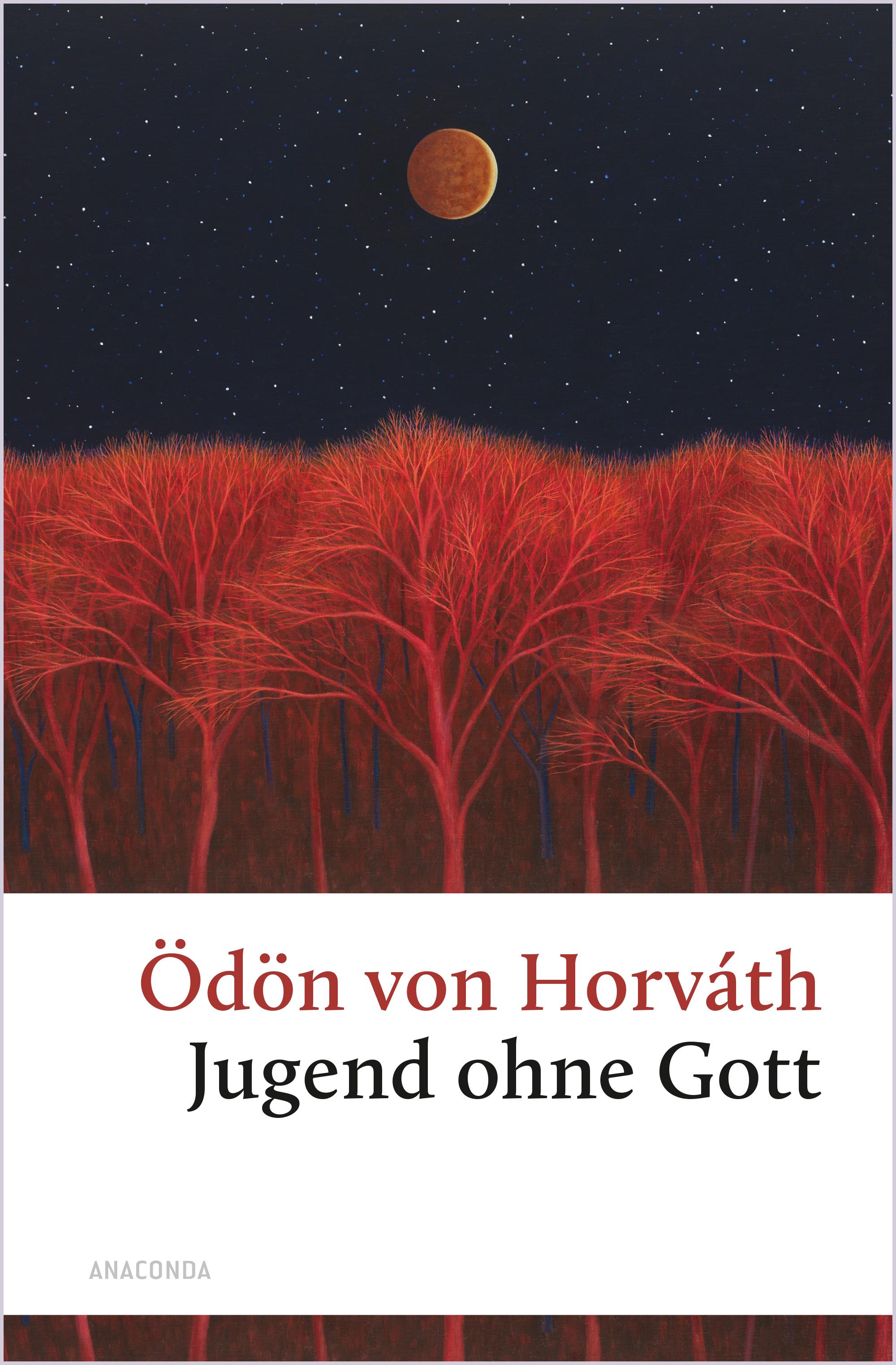 Vorderes Coverbild Jugend ohne Gott