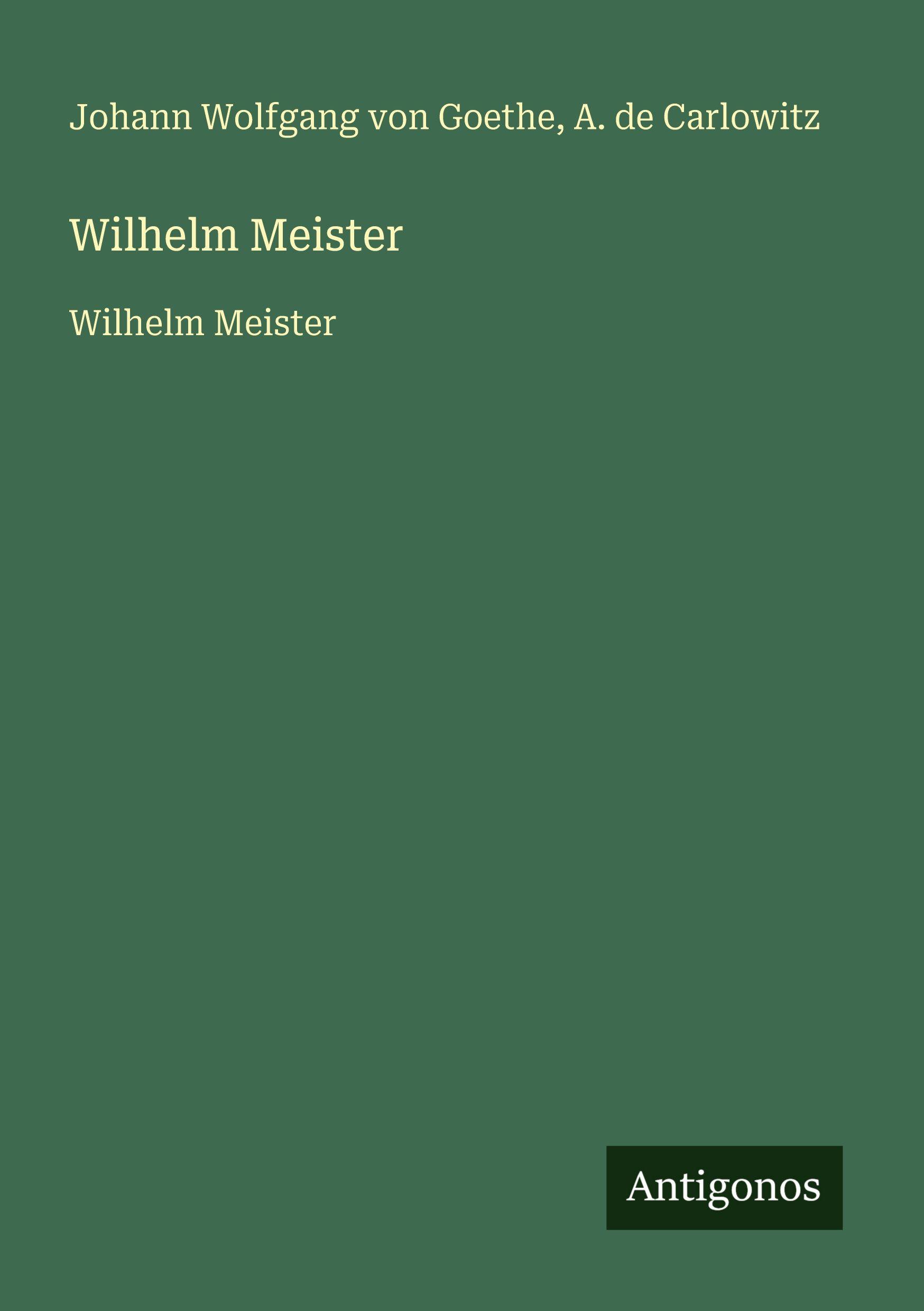 Vorderes Coverbild Wilhelm Meister