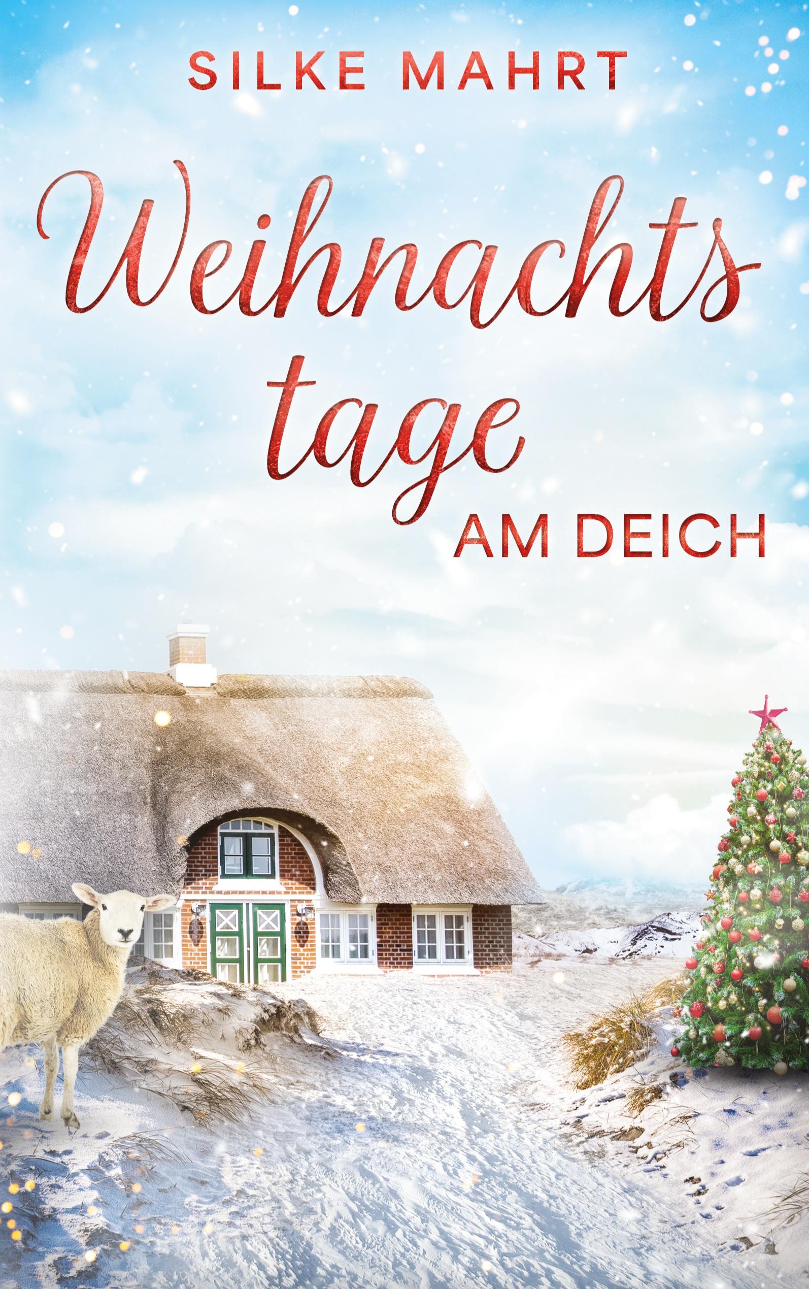 Vorderes Coverbild Weihnachtstage am Deich