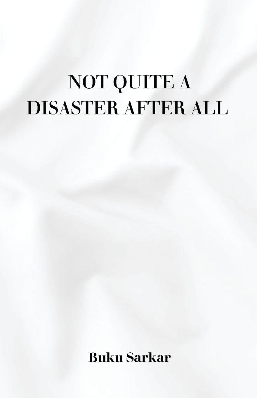 Vorderes Coverbild Not Quite a Disaster After All