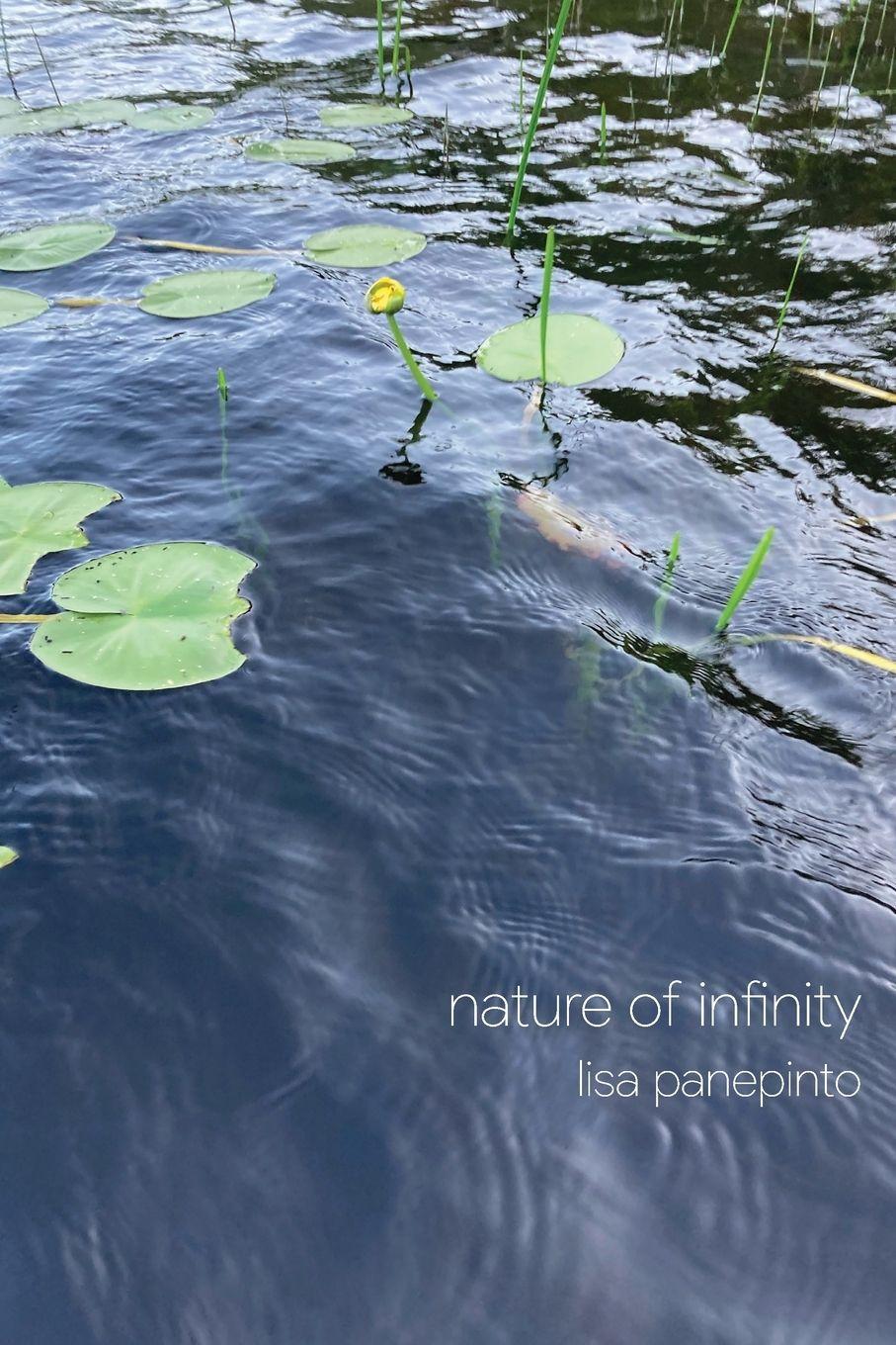 Vorderes Coverbild nature of infinity