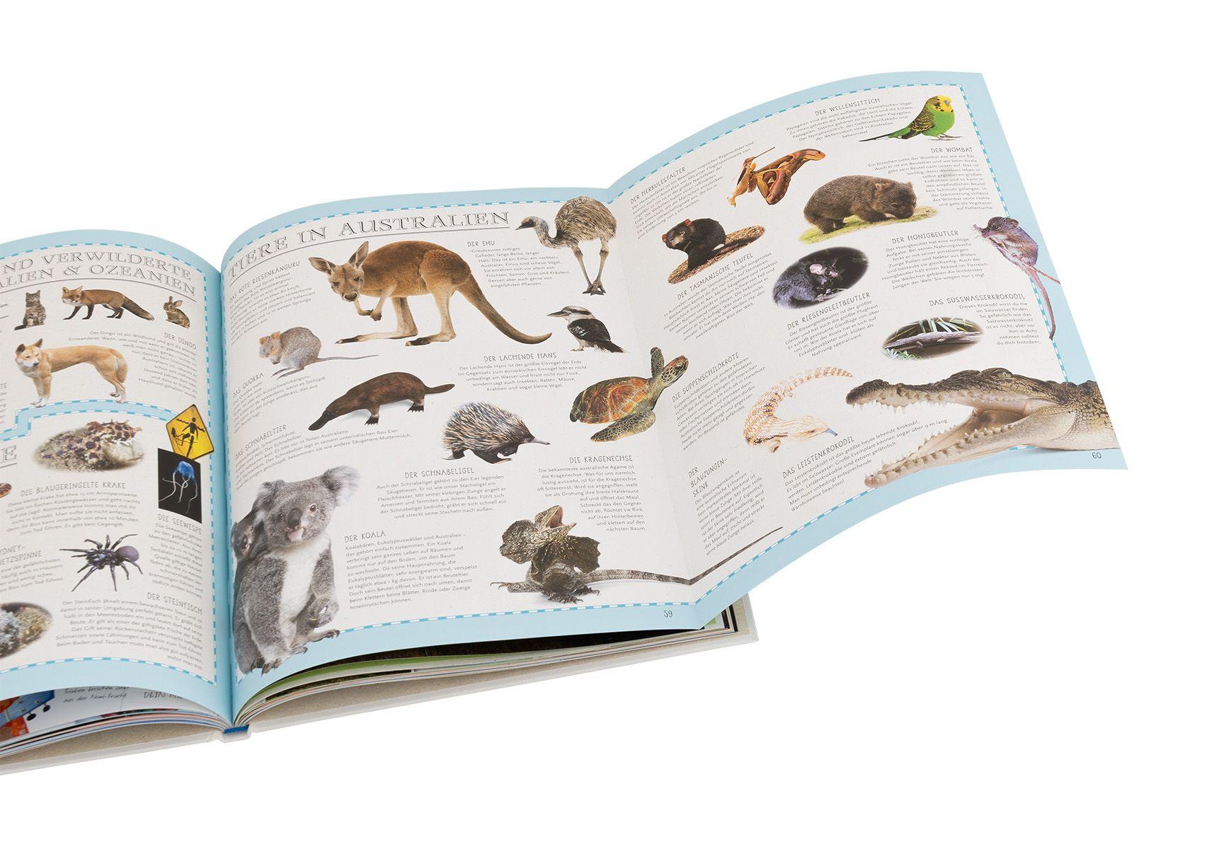 Beispielinhalt (Bild) Der große Kinder Weltatlas