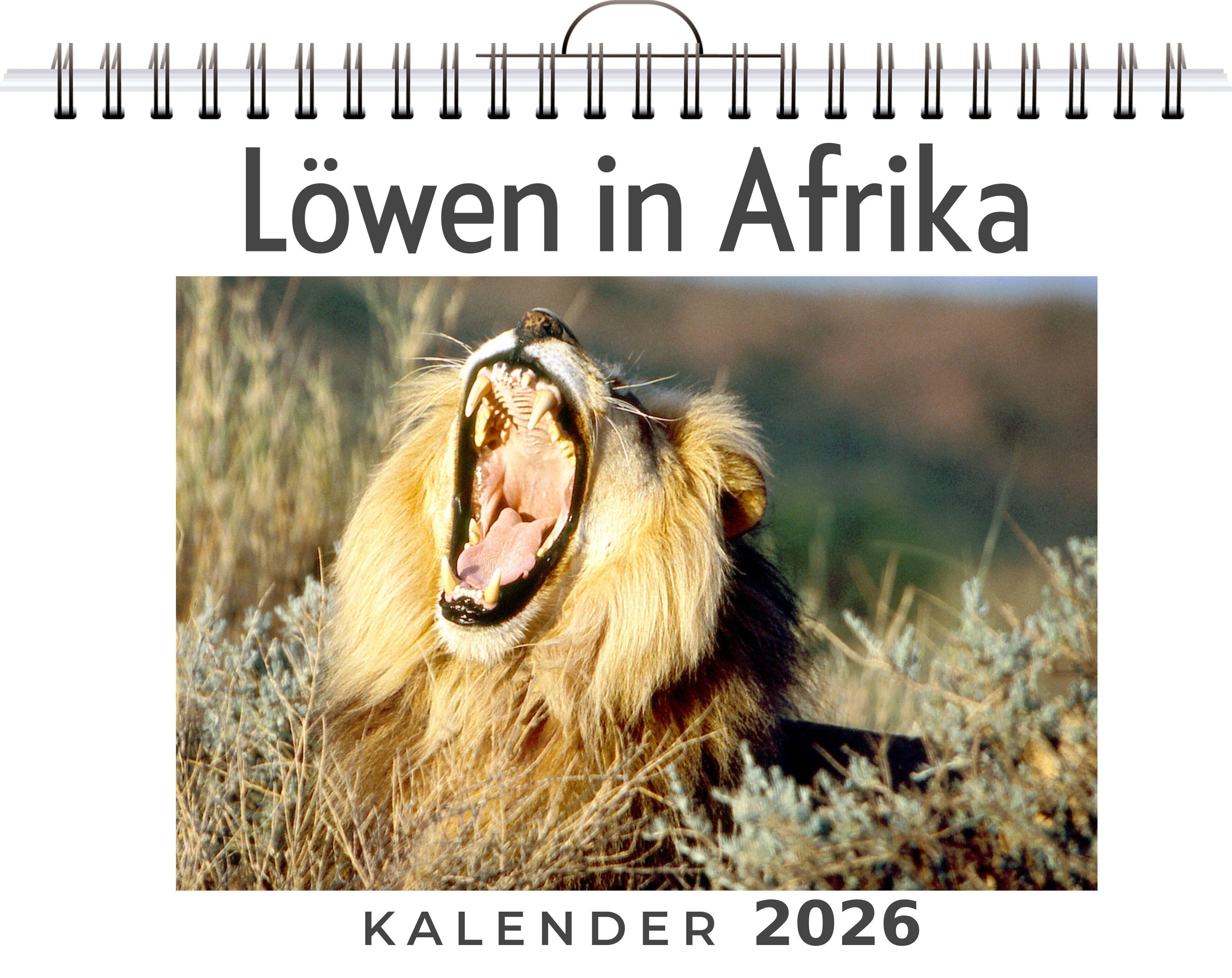Vorderes Coverbild Löwen in Afrika
