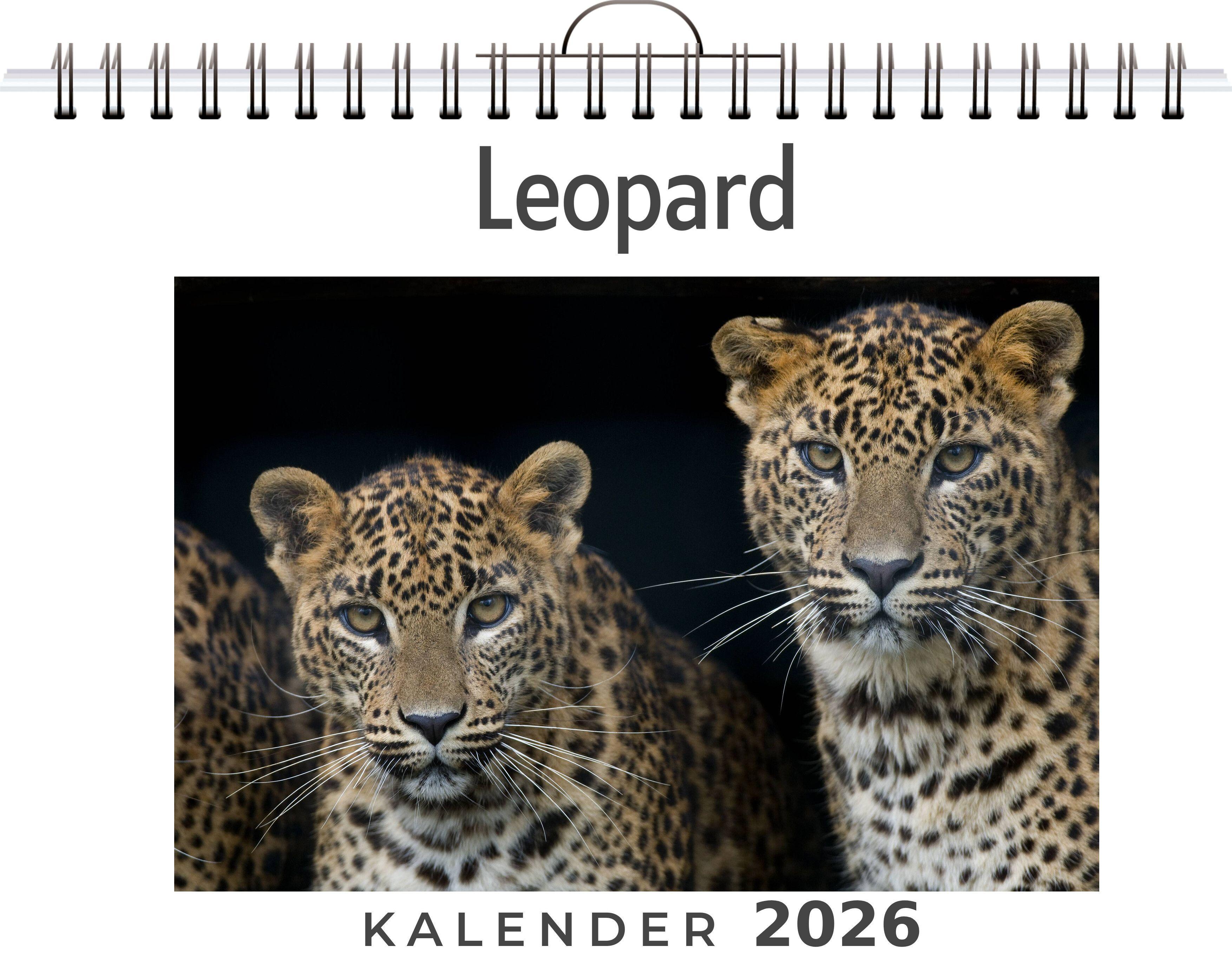Vorderes Coverbild Leopard