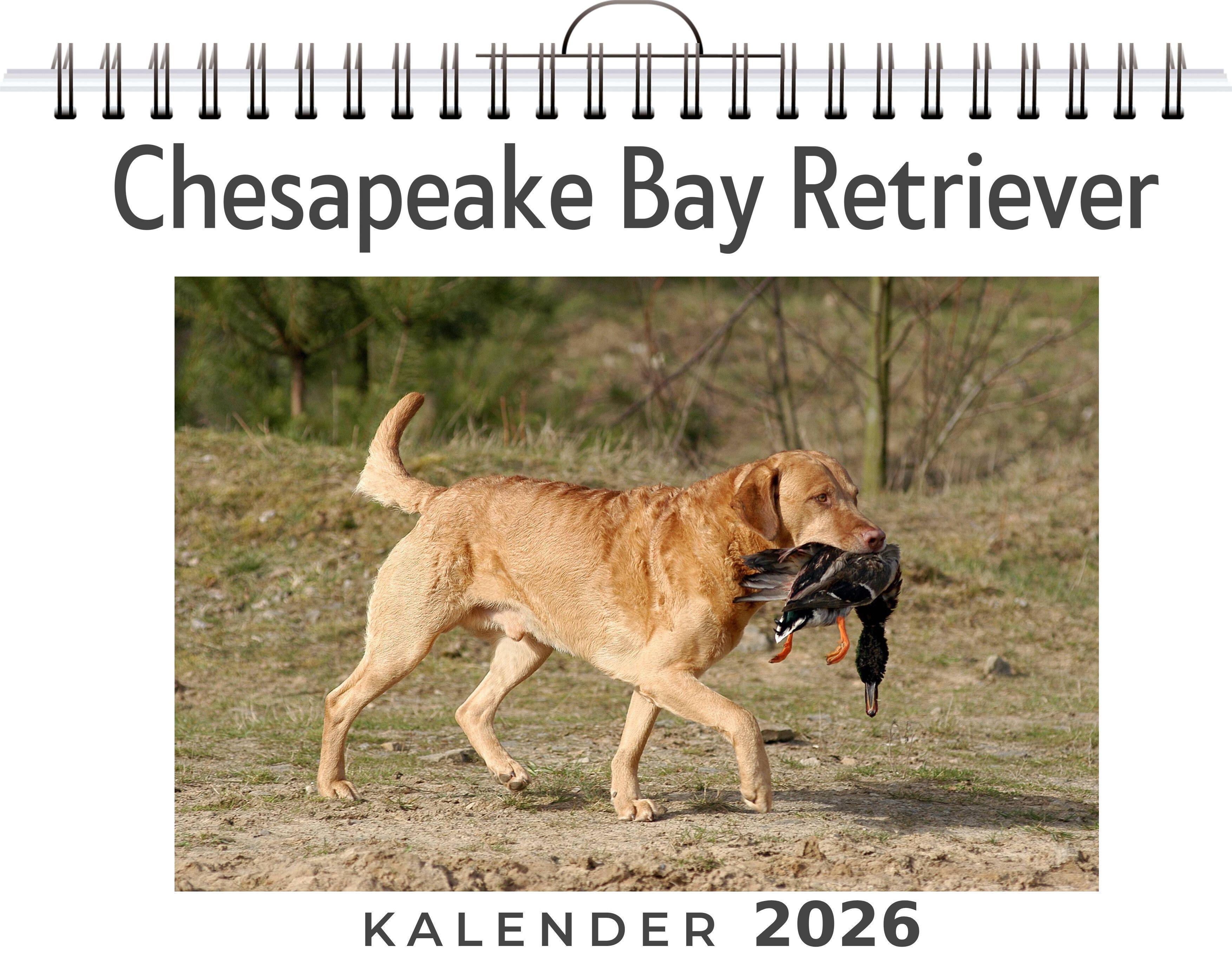 Vorderes Coverbild Chesapeake Bay Retriever