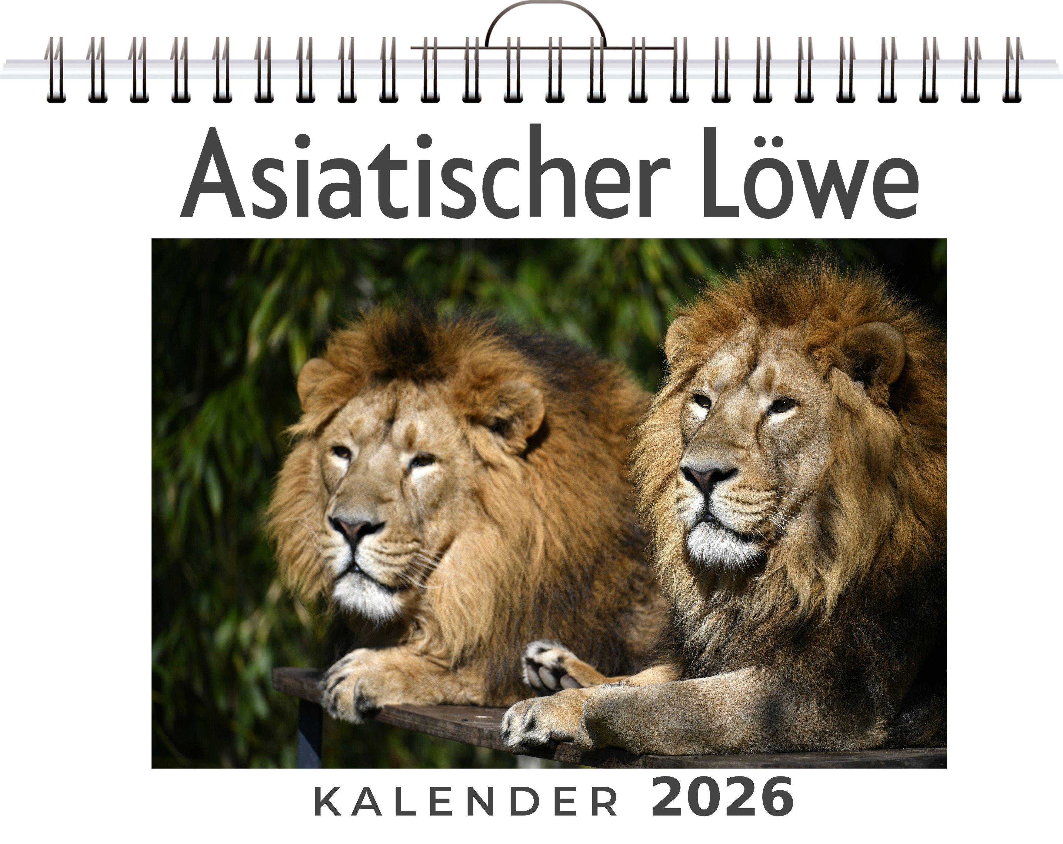 Vorderes Coverbild Asiatischer Löwe