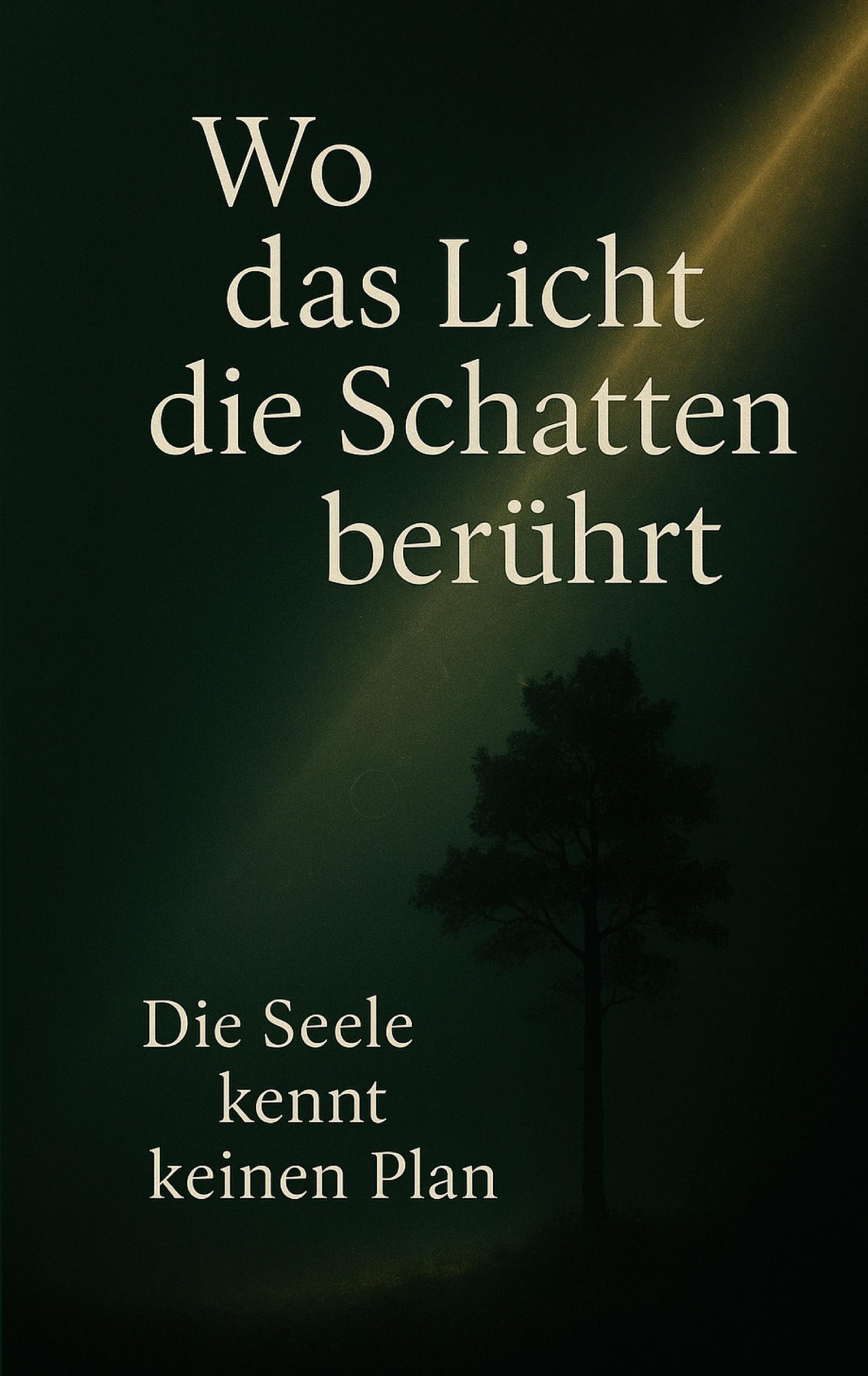 Vorderes Coverbild Wo das Licht die Schatten berührt