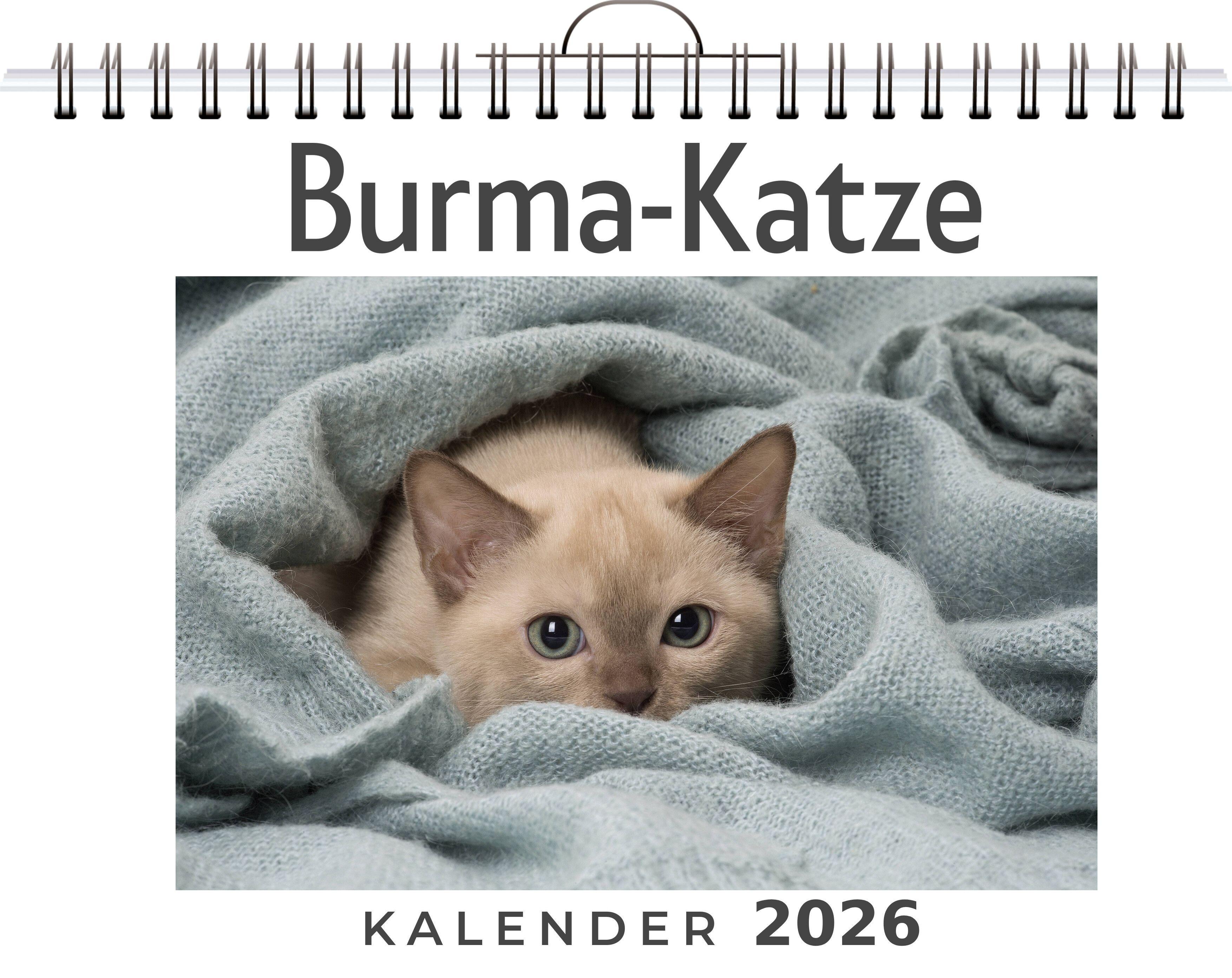 Vorderes Coverbild Burma-Katze