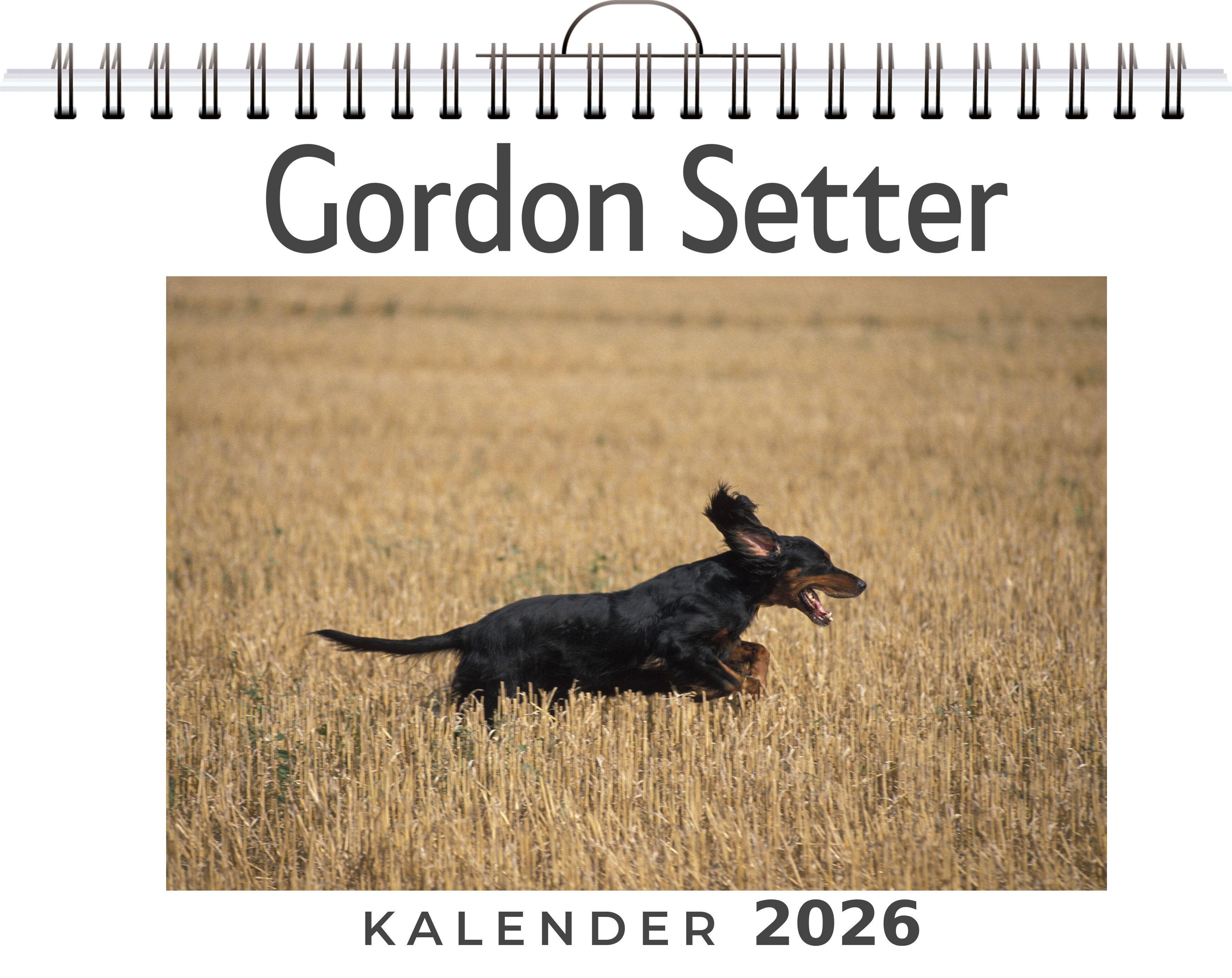 Vorderes Coverbild Gordon Setter