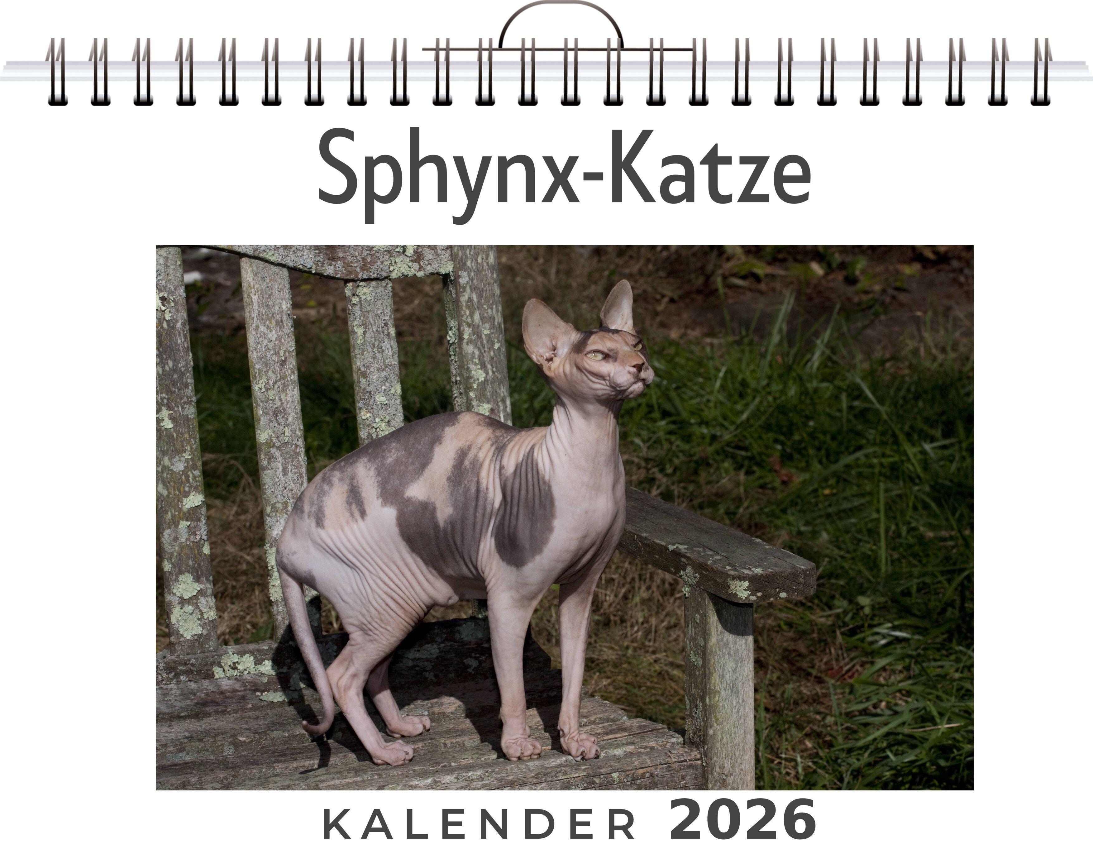 Vorderes Coverbild Sphynx-Katze