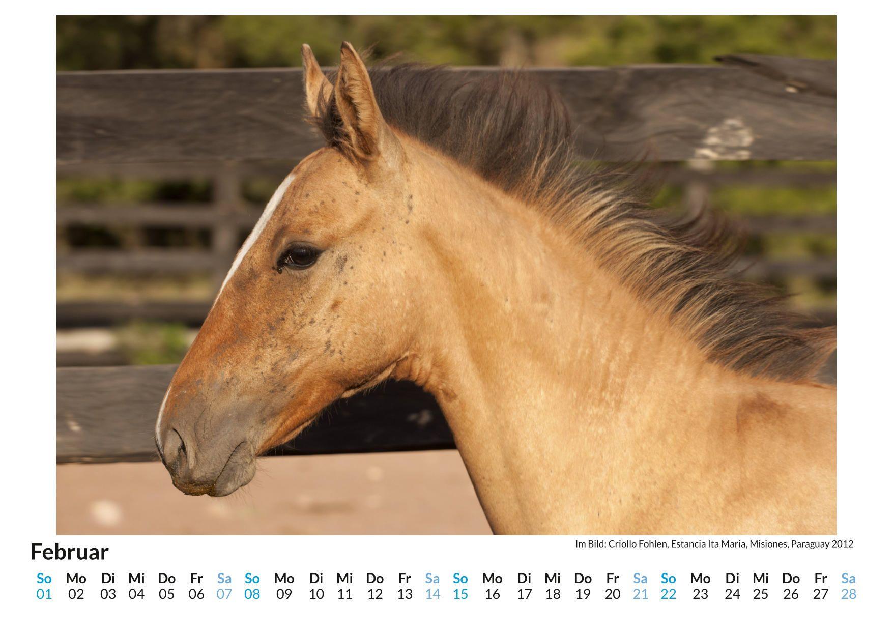 Beispielinhalt (Bild) Criollo