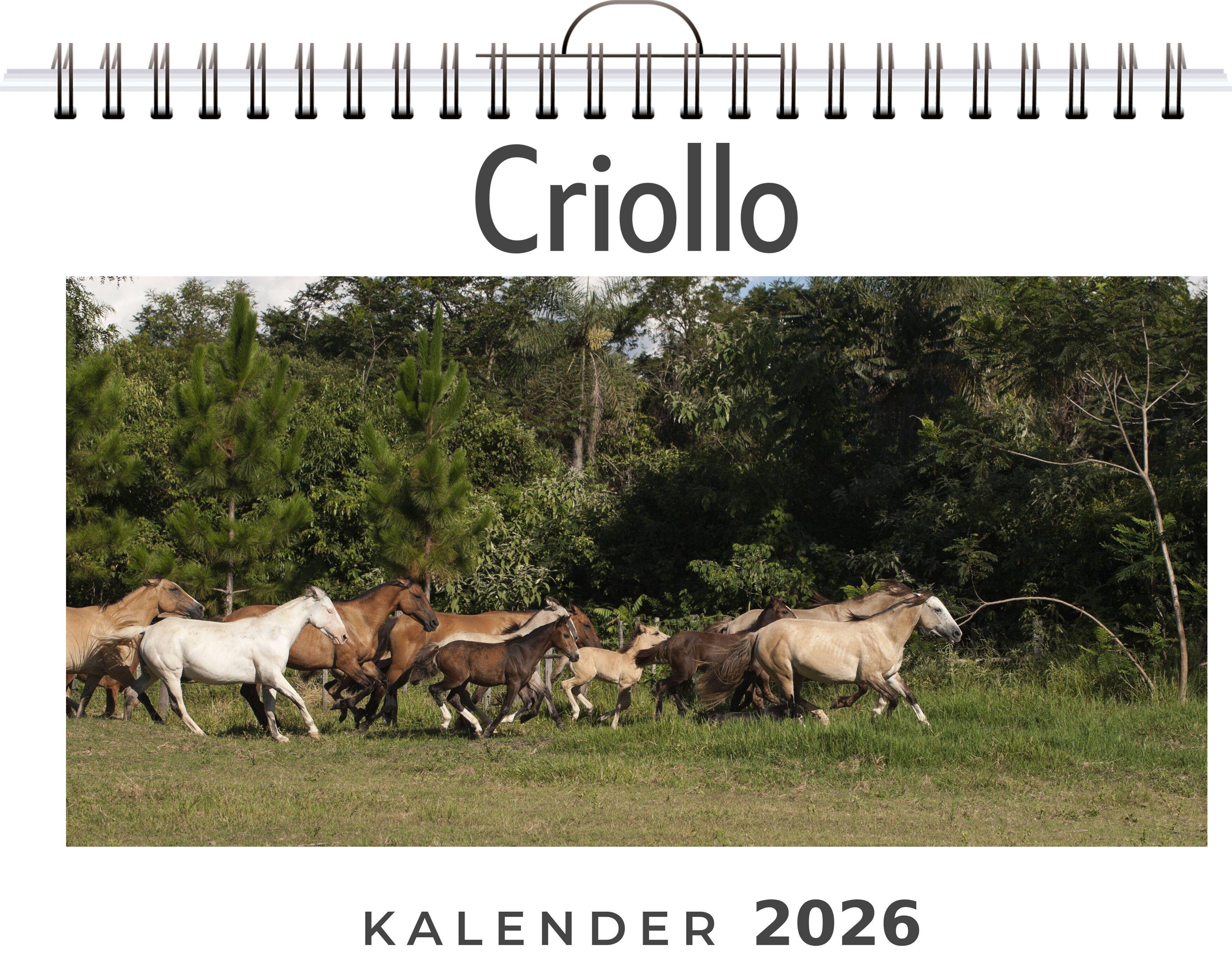 Vorderes Coverbild Criollo