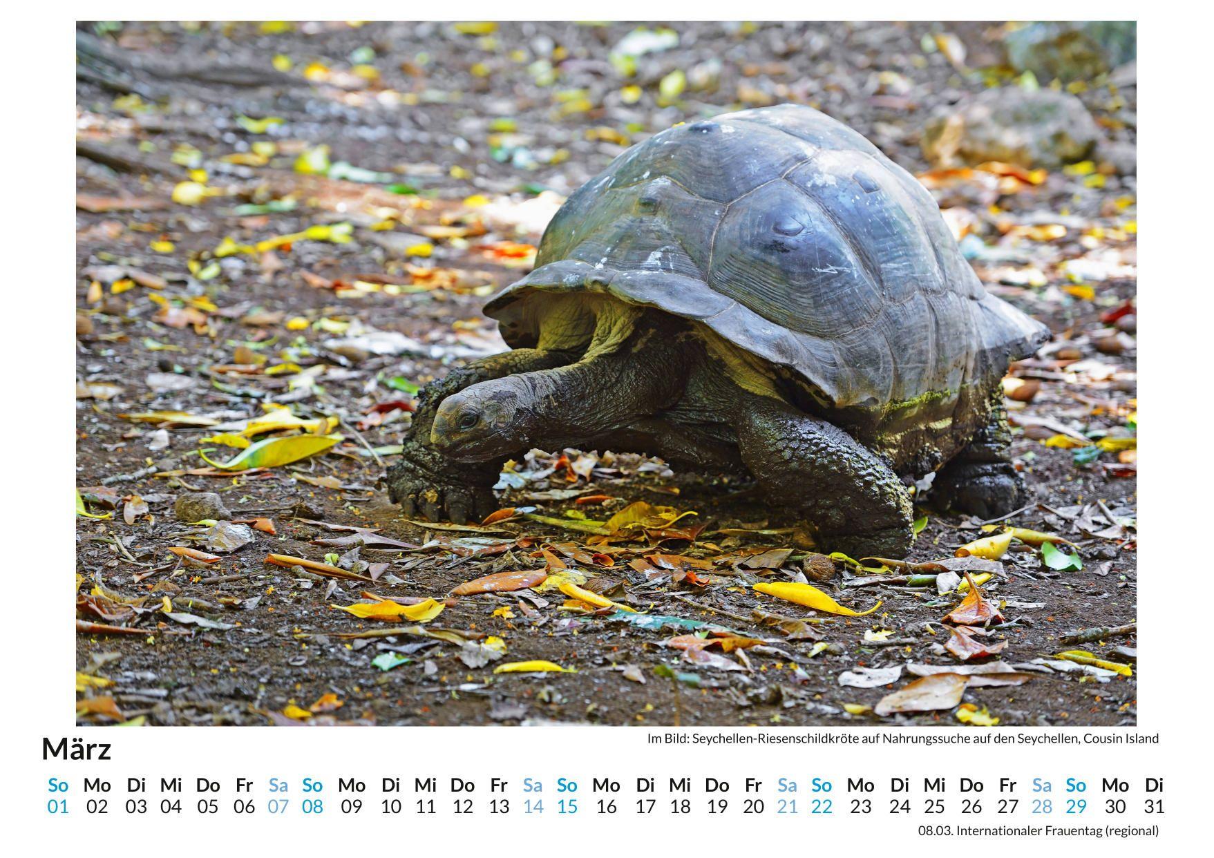 Beispielinhalt (Bild) Naturbilder Seychellen