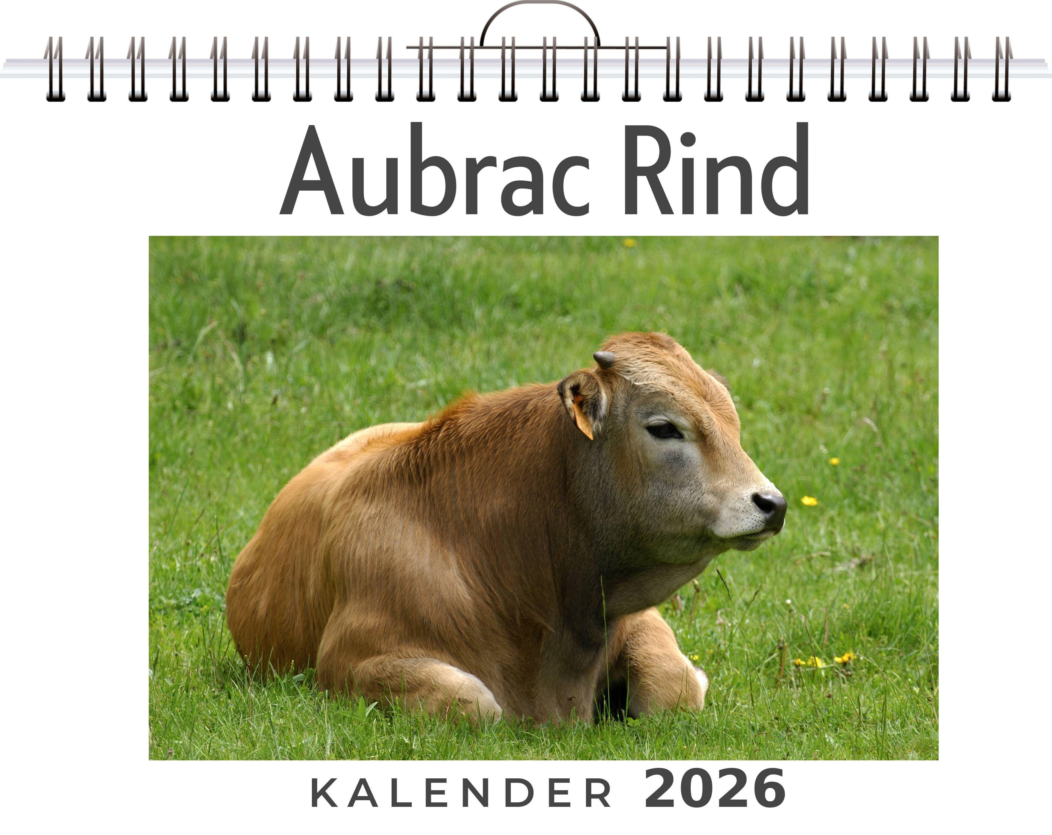 Vorderes Coverbild Aubrac Rind