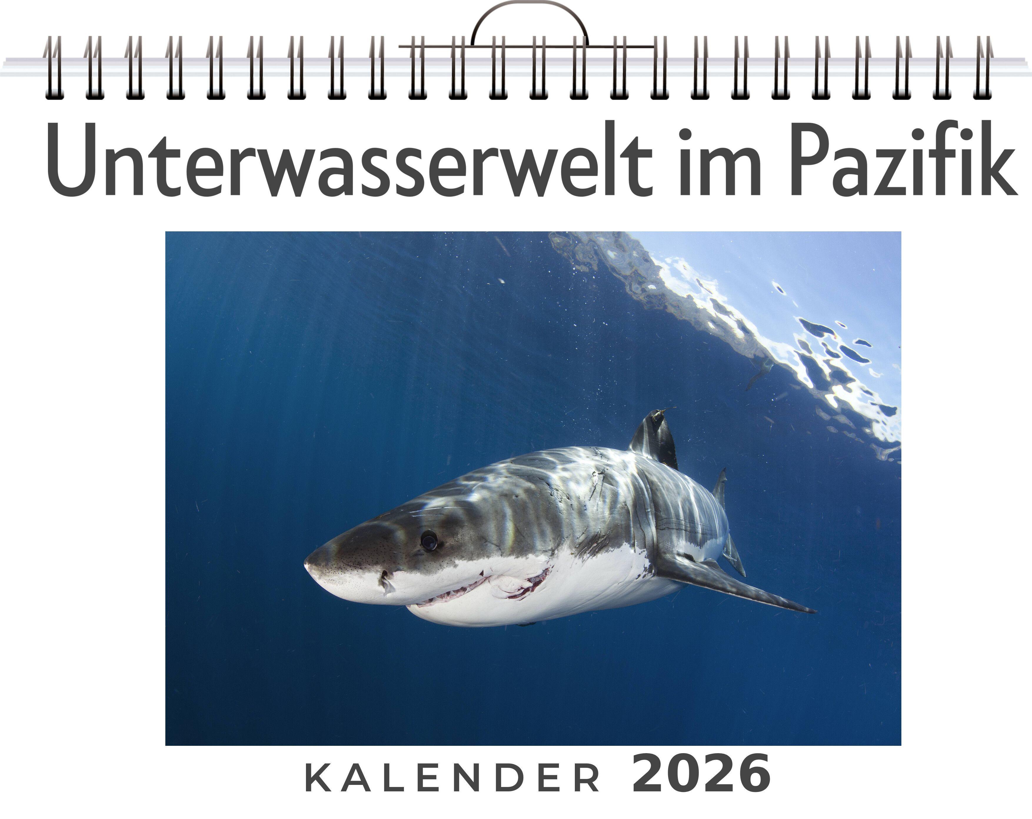 Vorderes Coverbild Unterwasserwelt im Pazifik