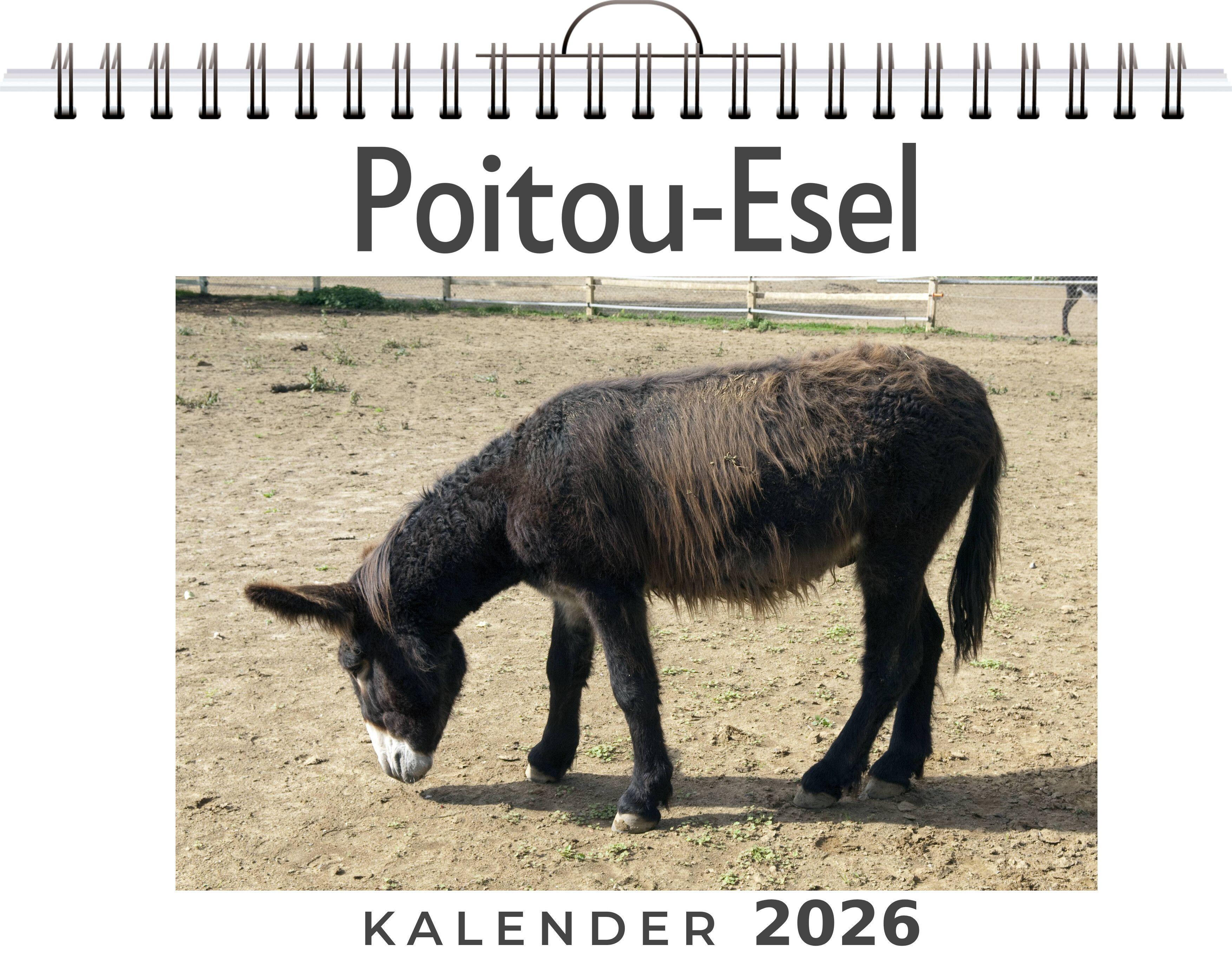 Vorderes Coverbild Poitou-Esel