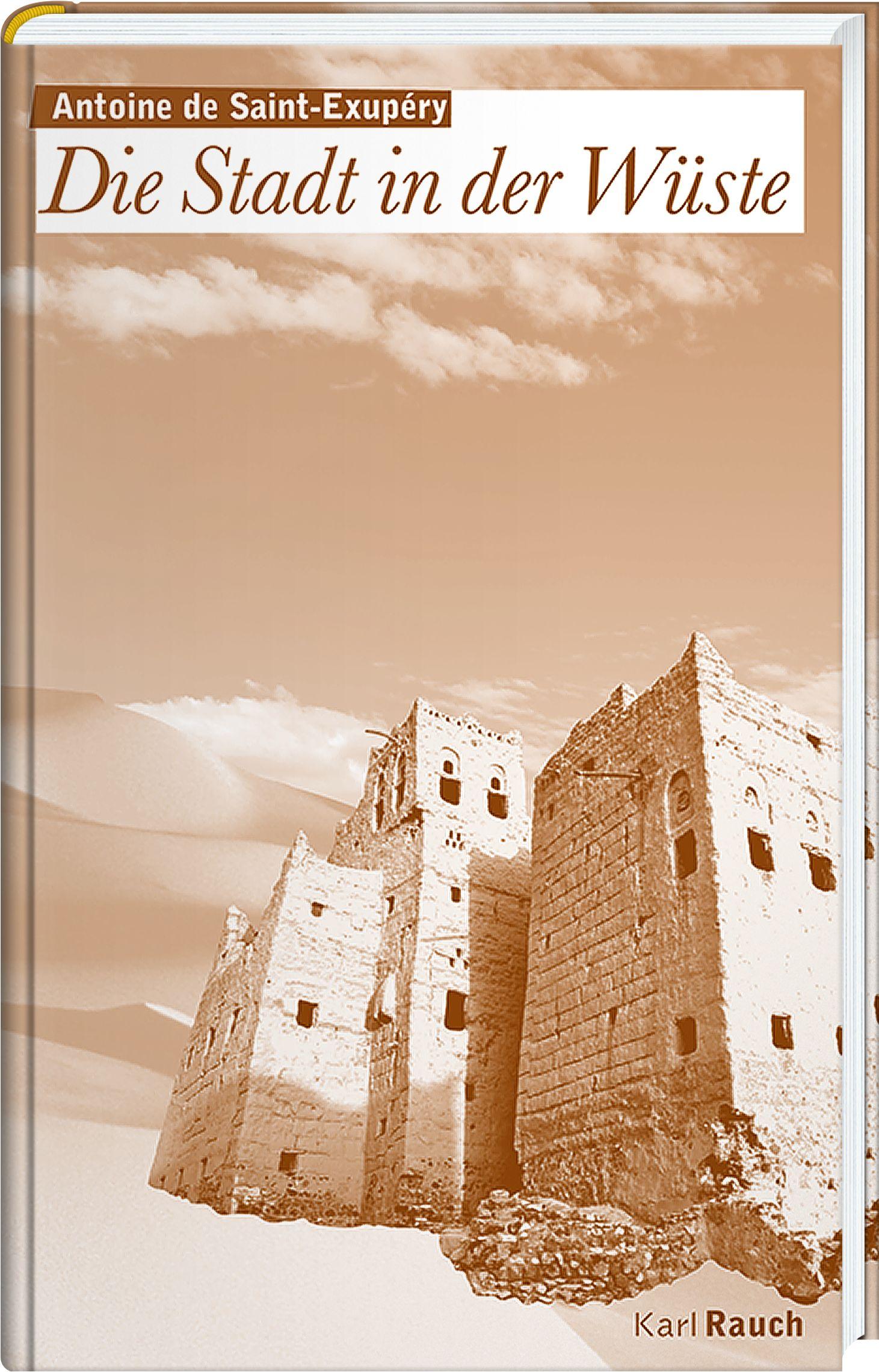 Vorderes Coverbild Die Stadt in der Wüste