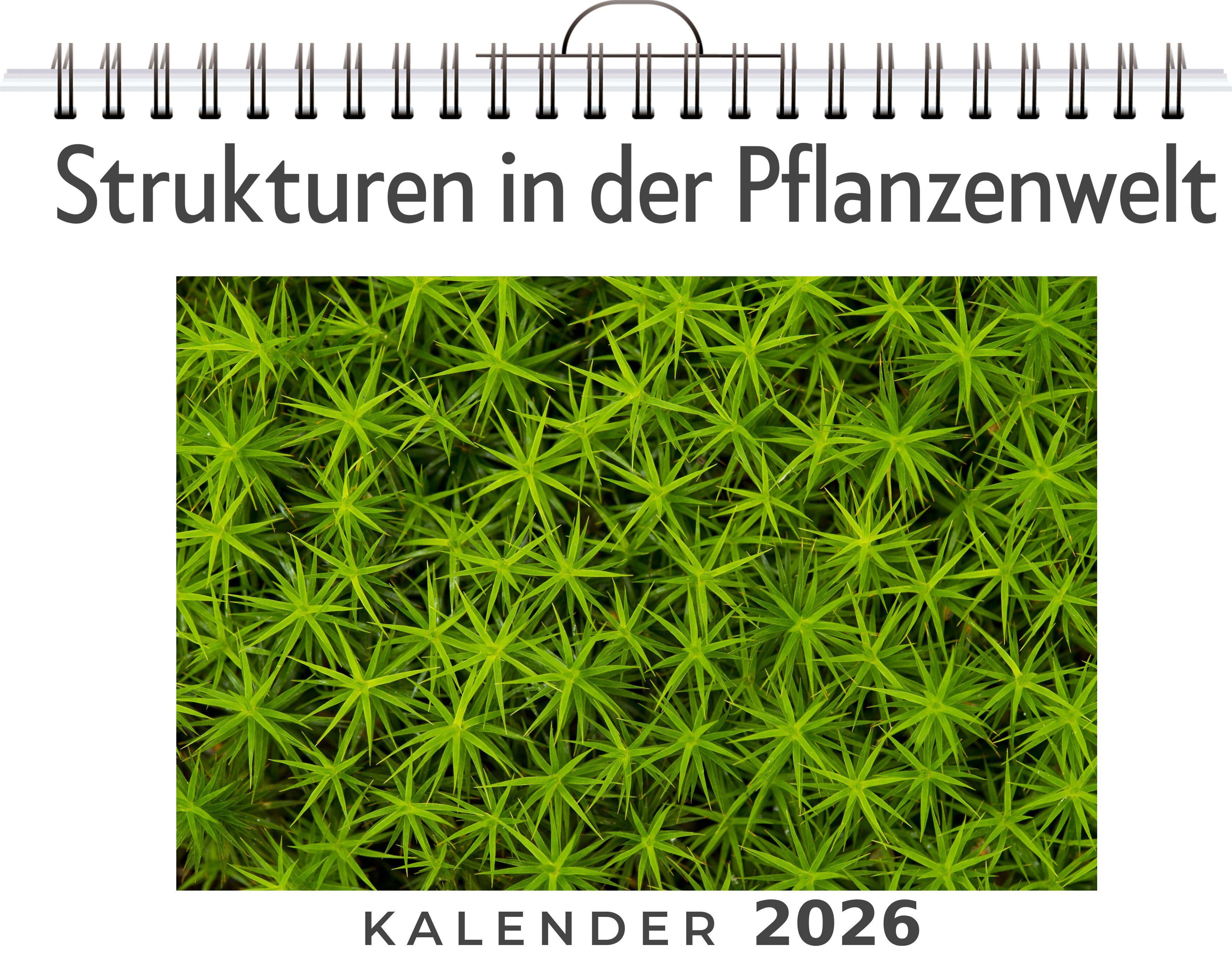 Vorderes Coverbild Strukturen in der Pflanzenwelt