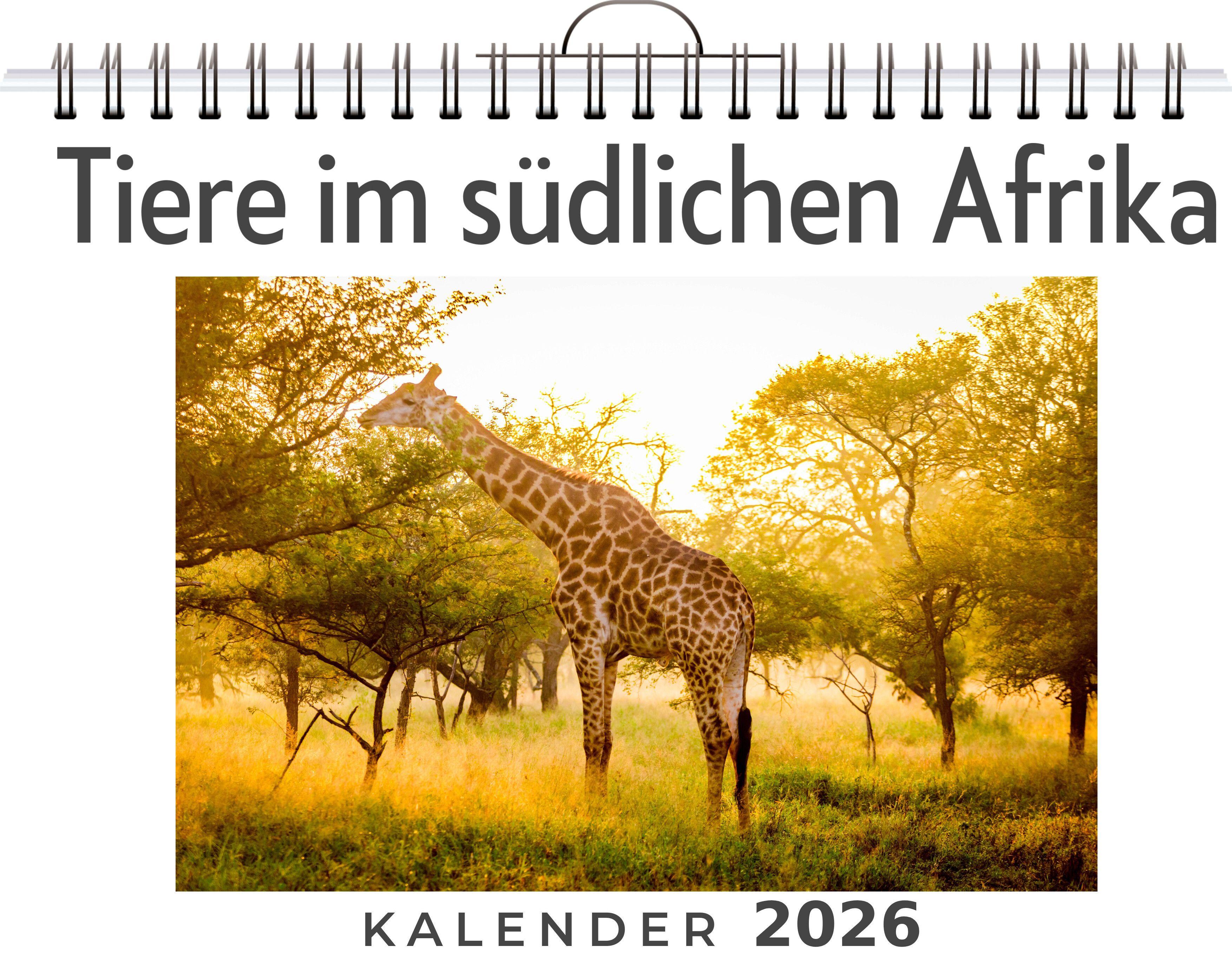 Vorderes Coverbild Tiere im südlichen Afrika