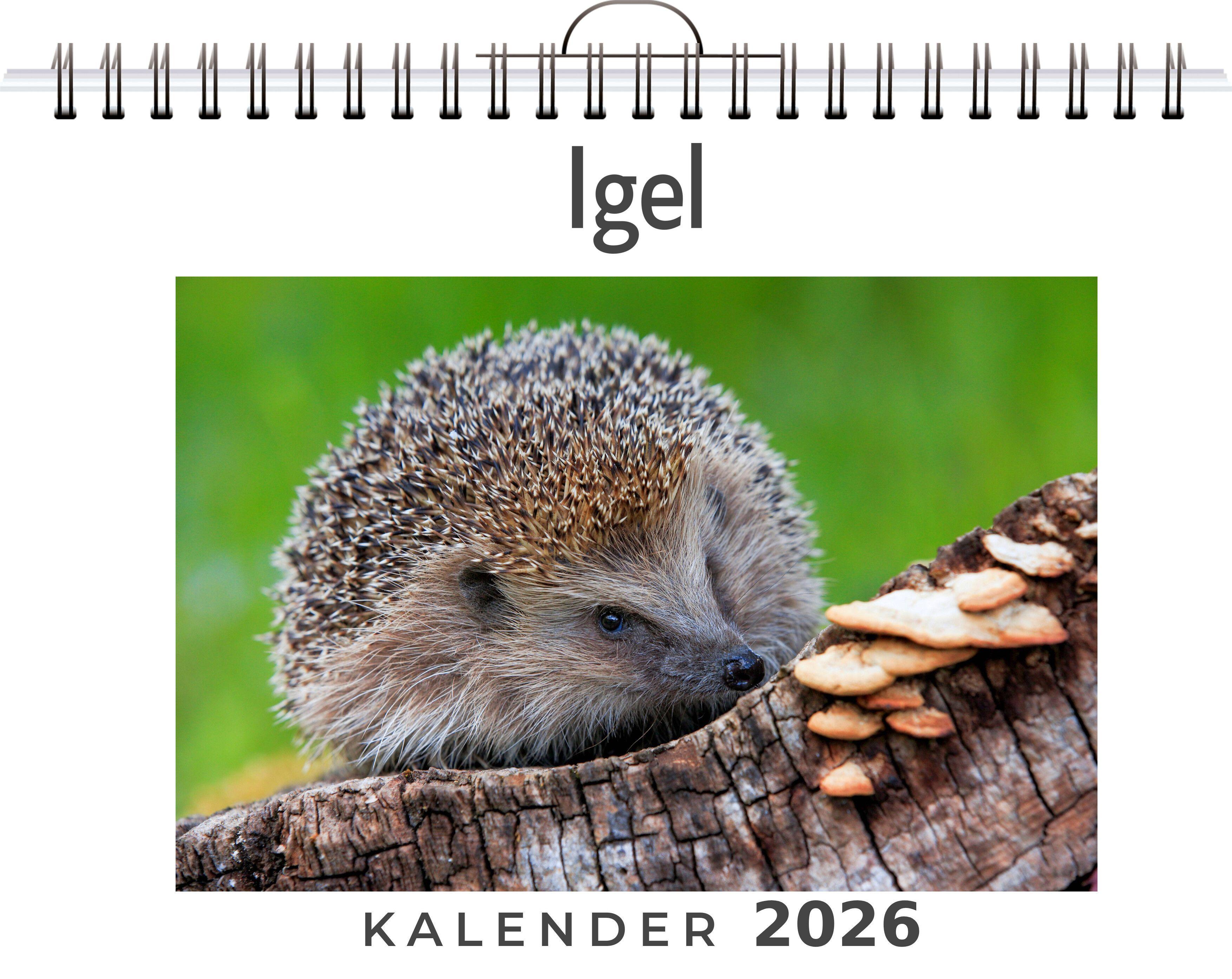 Vorderes Coverbild Igel