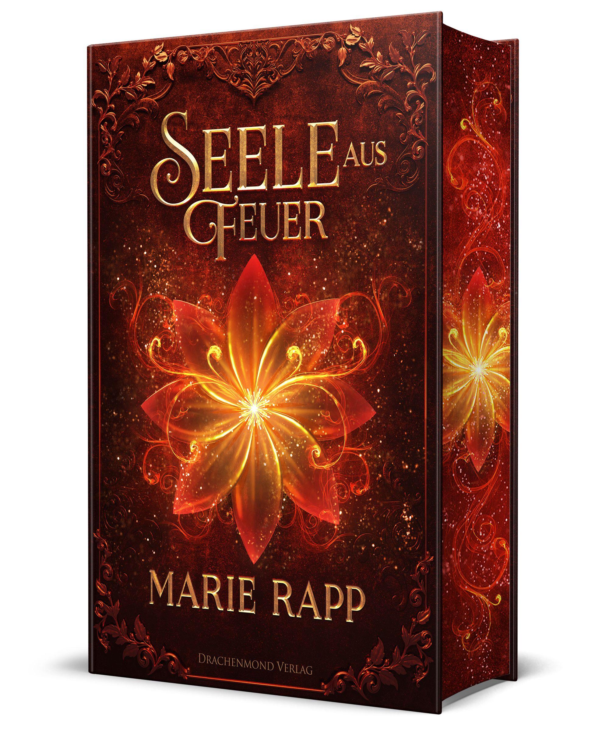 Vorderes Coverbild Seele aus Feuer - Seelen-Saga 2 - Schmuckausgabe