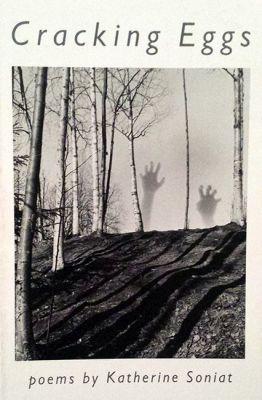 Vorderes Coverbild Cracking Eggs