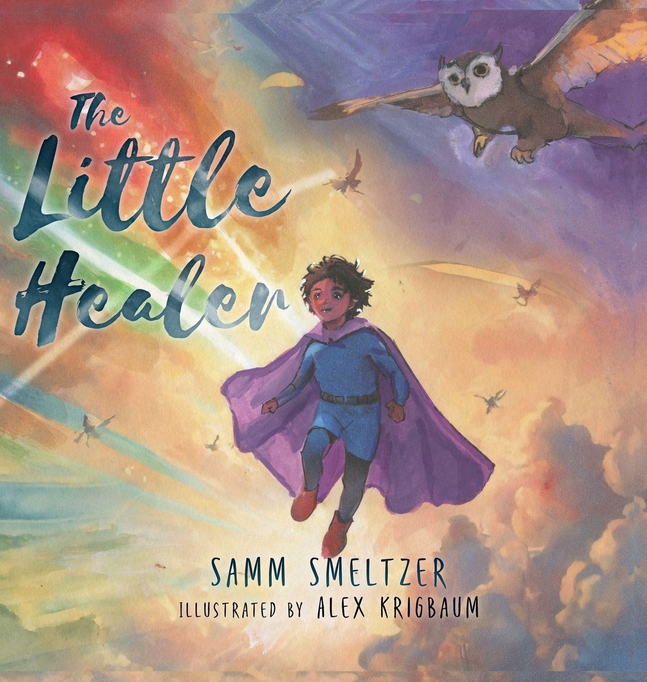 Vorderes Coverbild The Little Healer