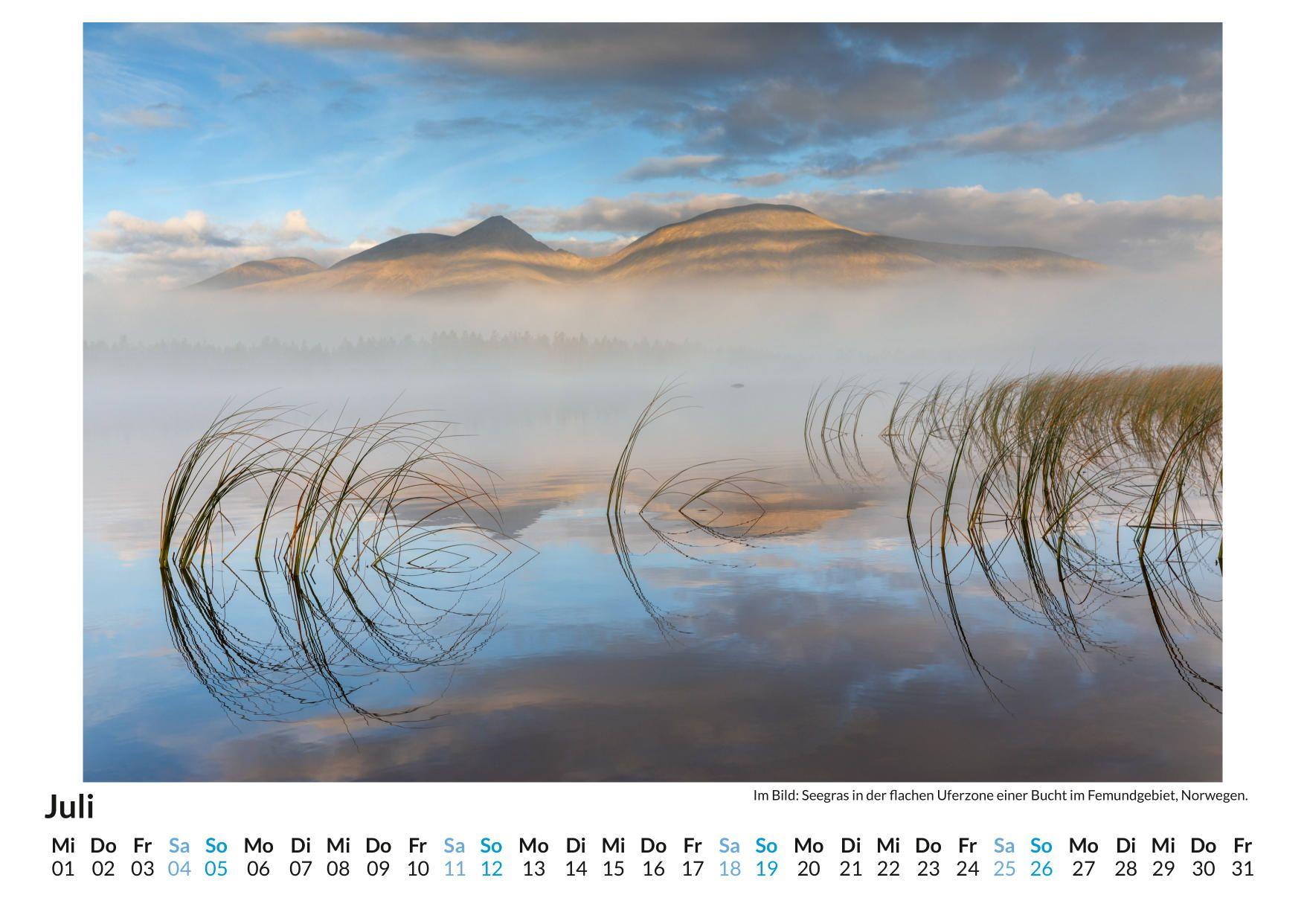 Beispielinhalt (Bild) Nebel