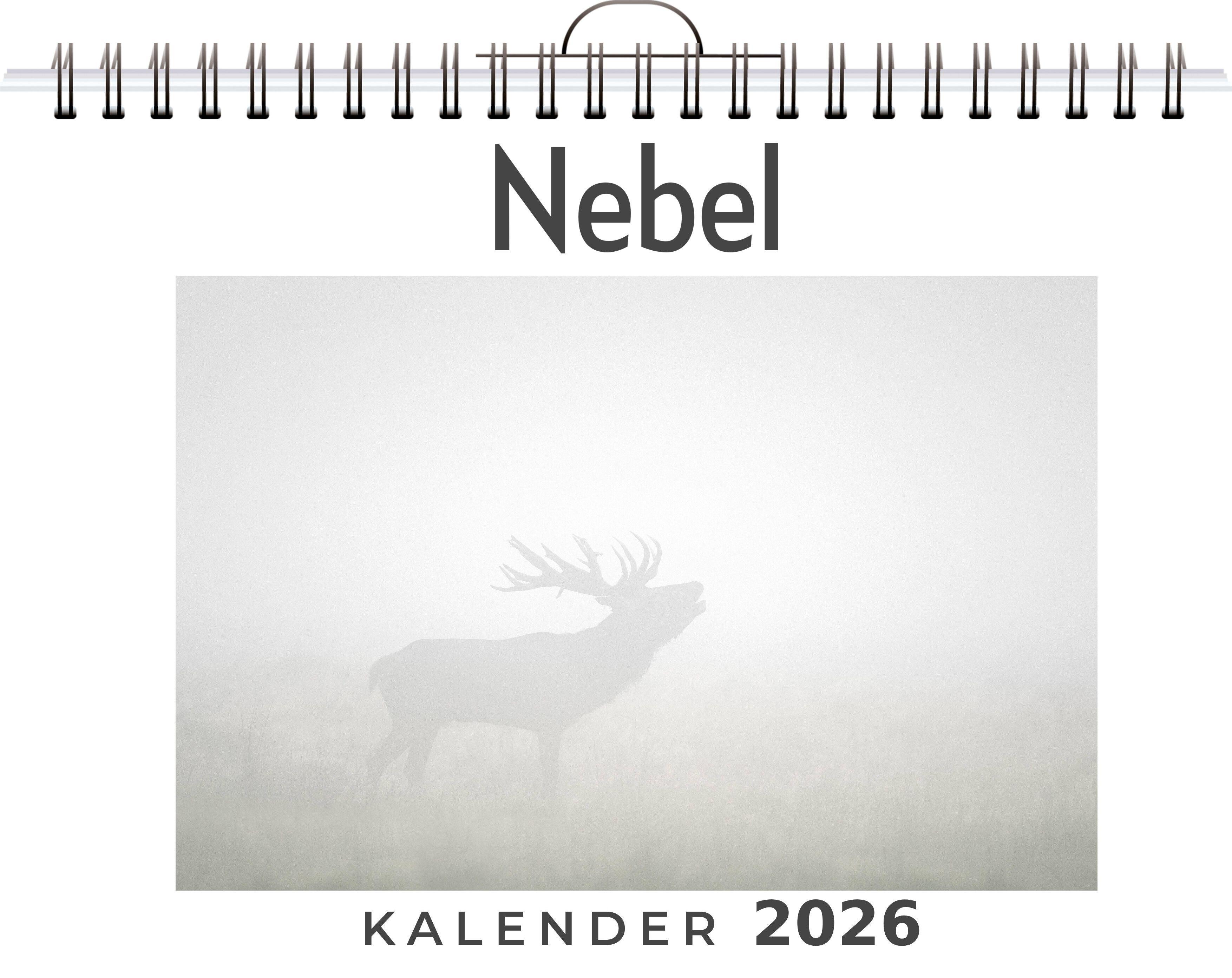 Vorderes Coverbild Nebel