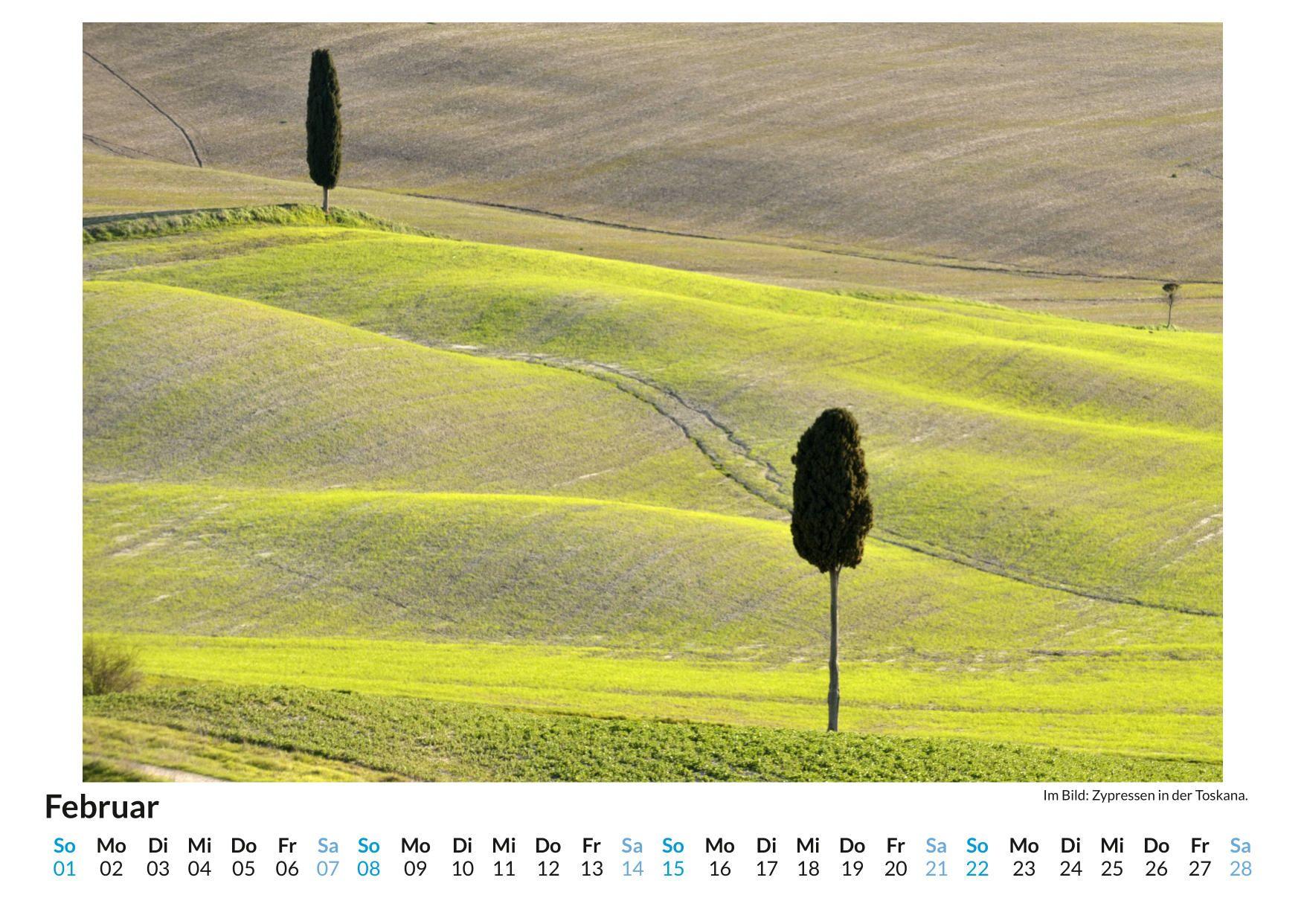 Beispielinhalt (Bild) Zypressen