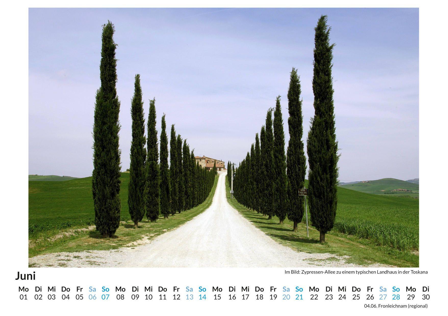 Beispielinhalt (Bild) Zypressen