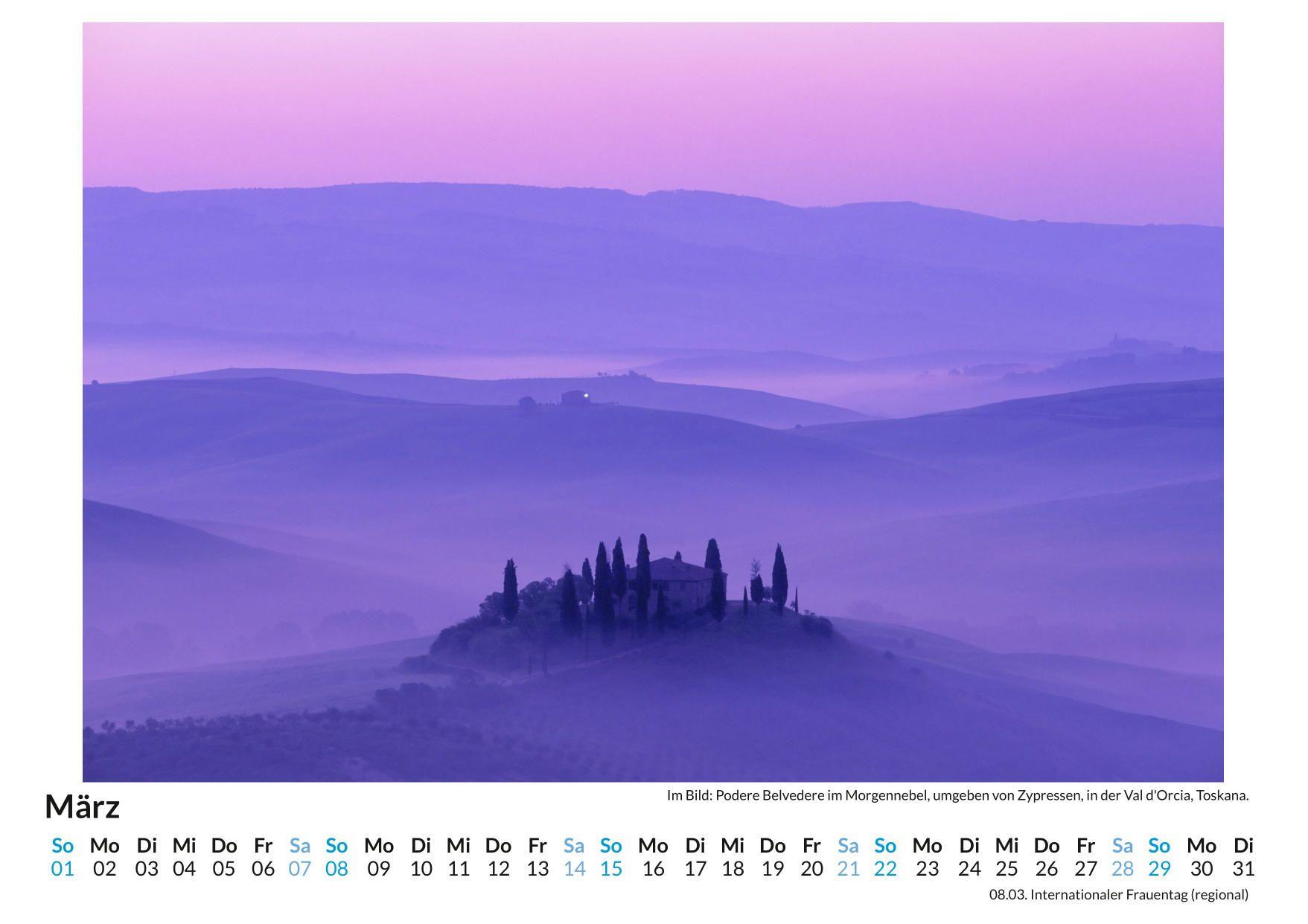 Beispielinhalt (Bild) Zypressen