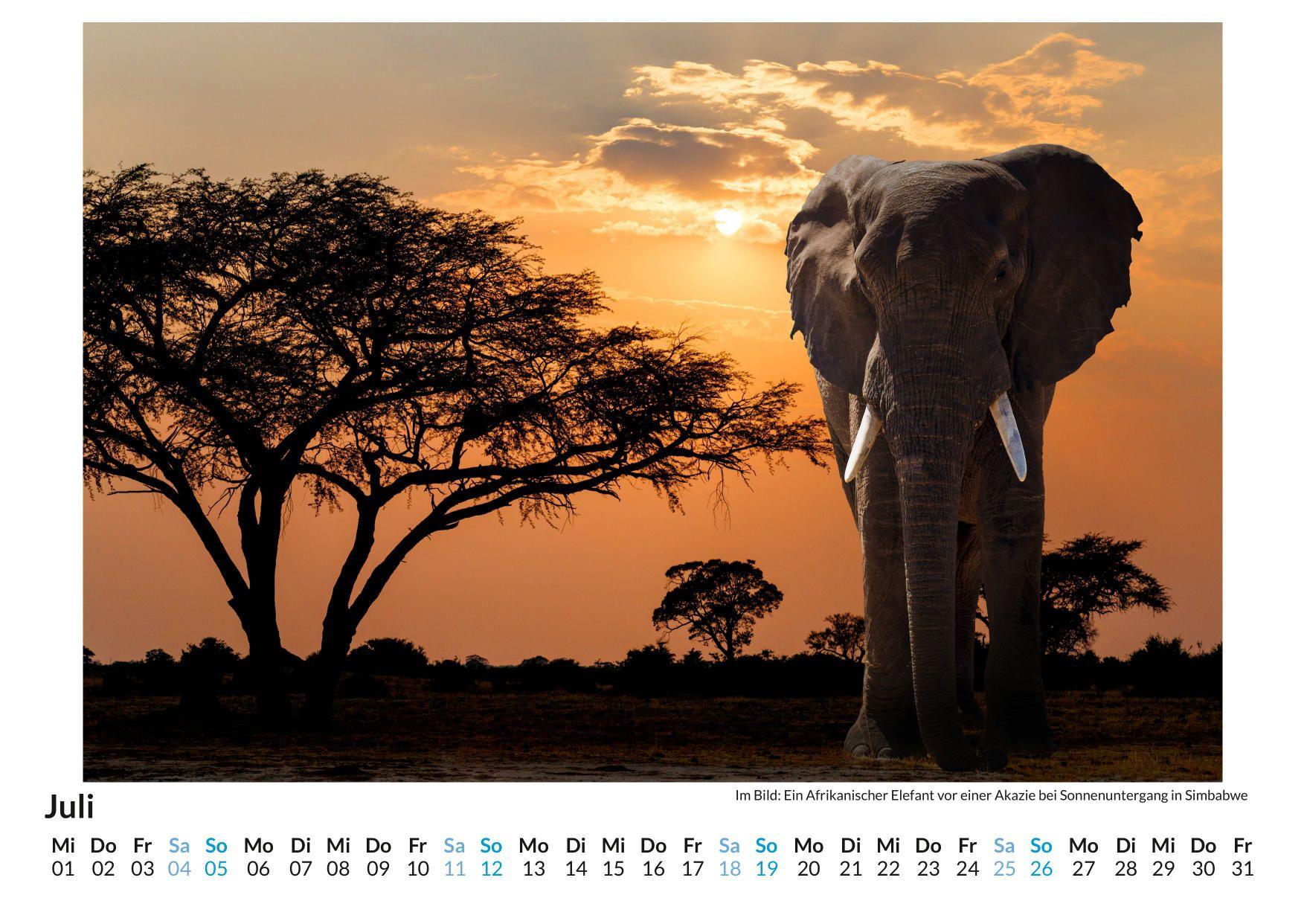 Beispielinhalt (Bild) Botswana