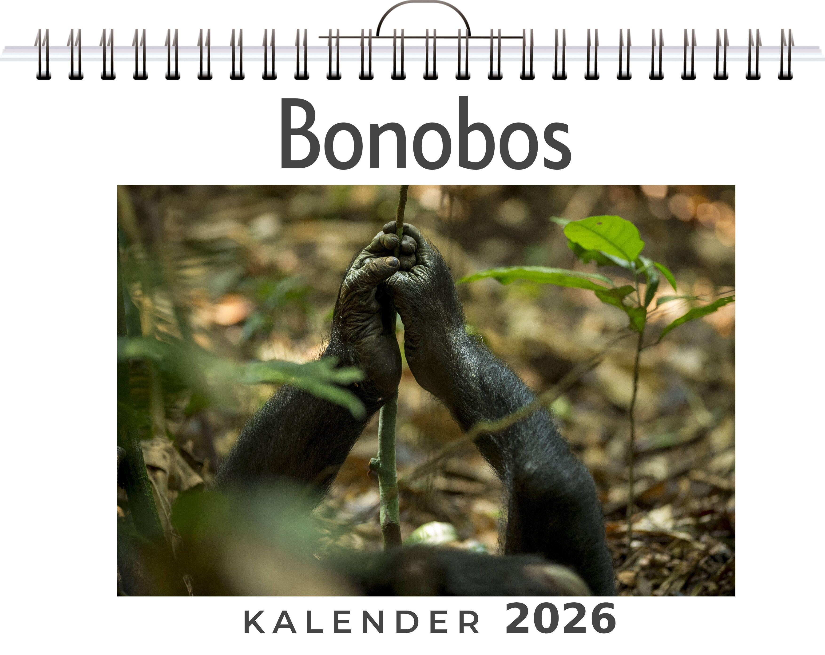 Vorderes Coverbild Bonobos