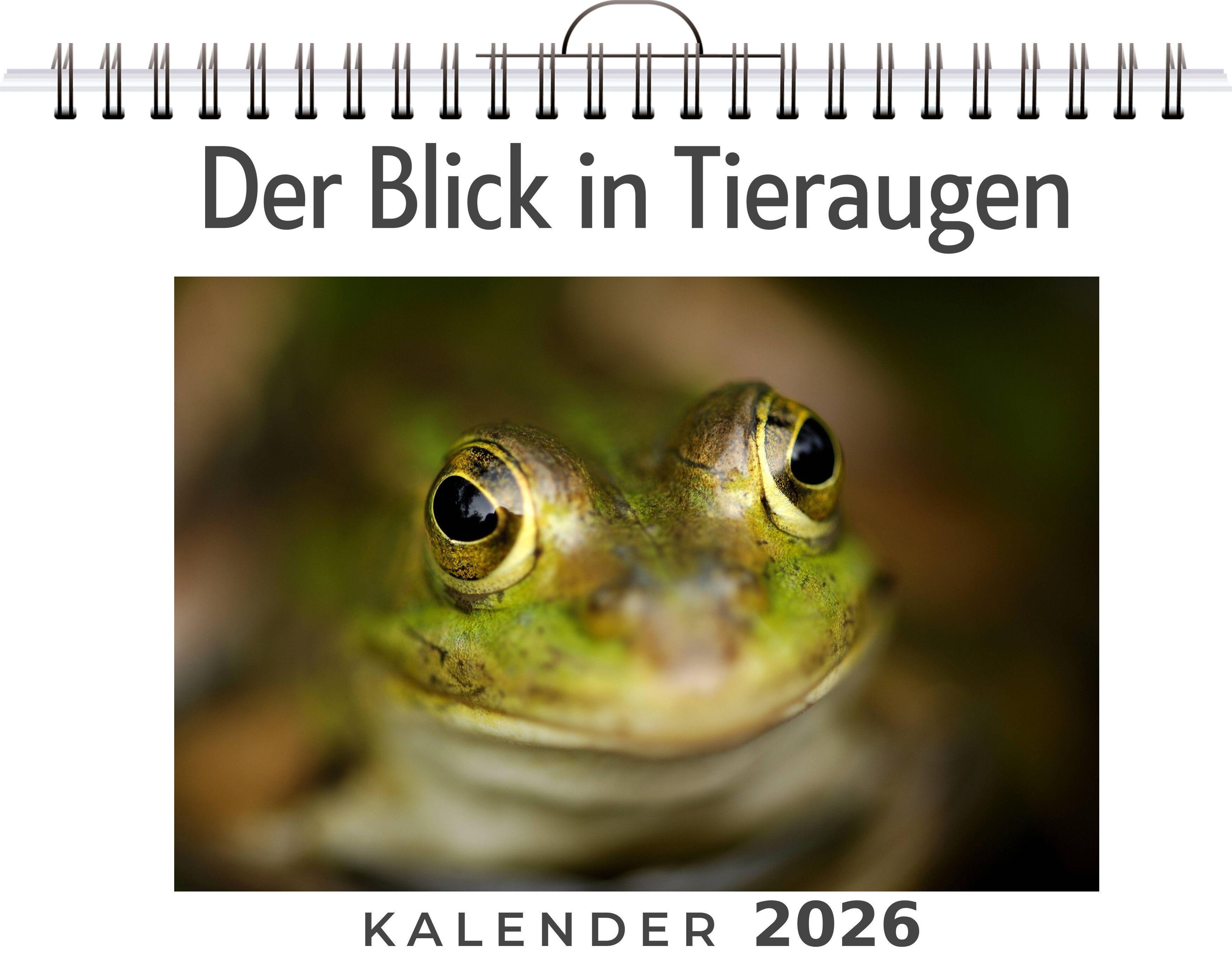Vorderes Coverbild Der Blick in Tieraugen